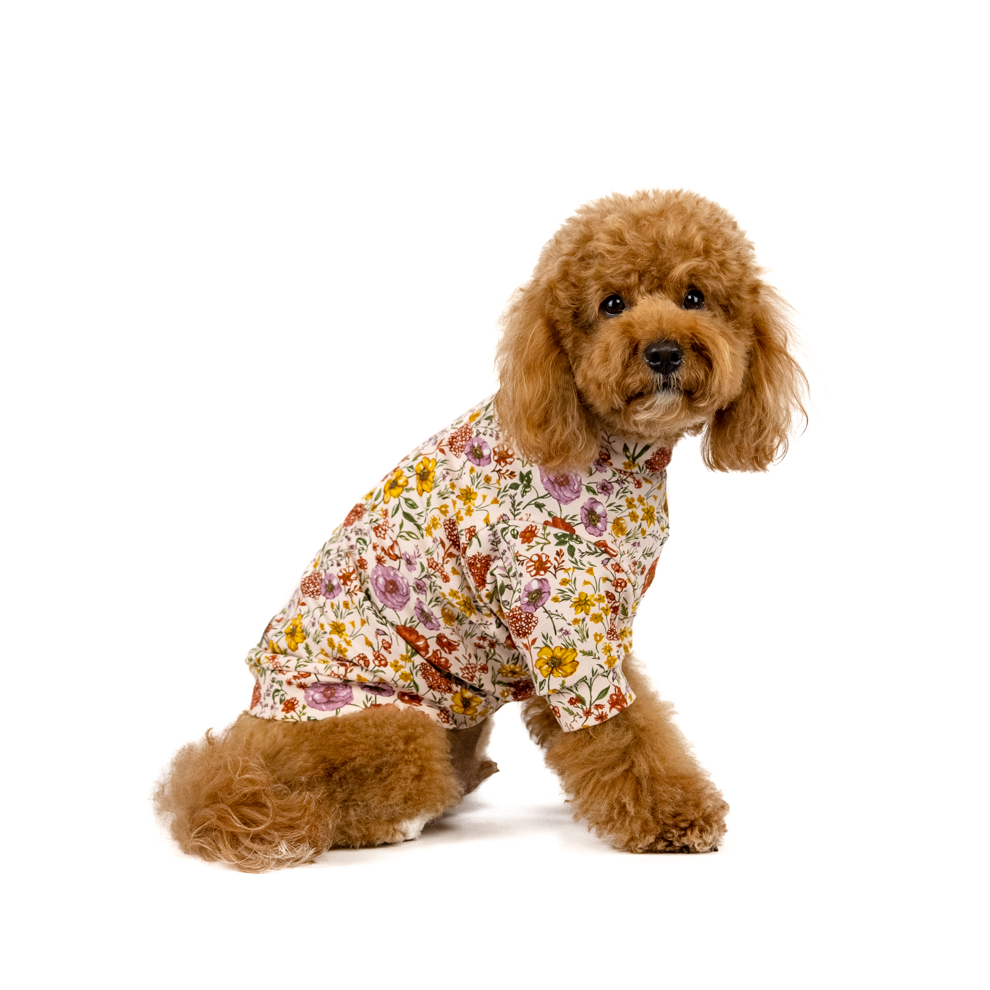 The Doreen Tee
