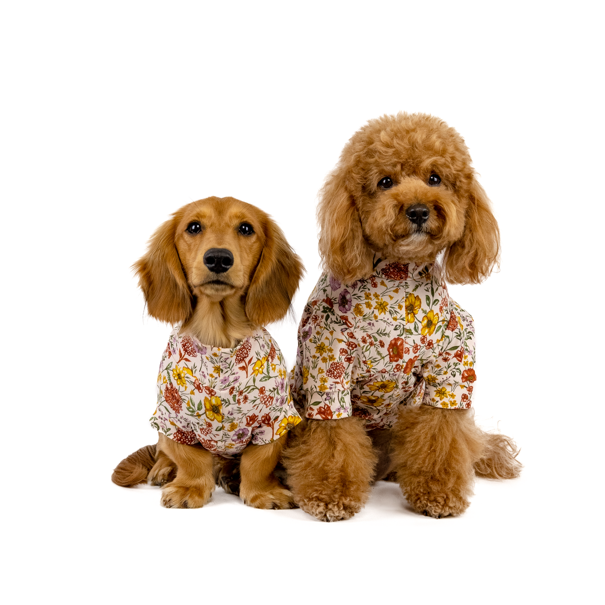 The Doreen Tee