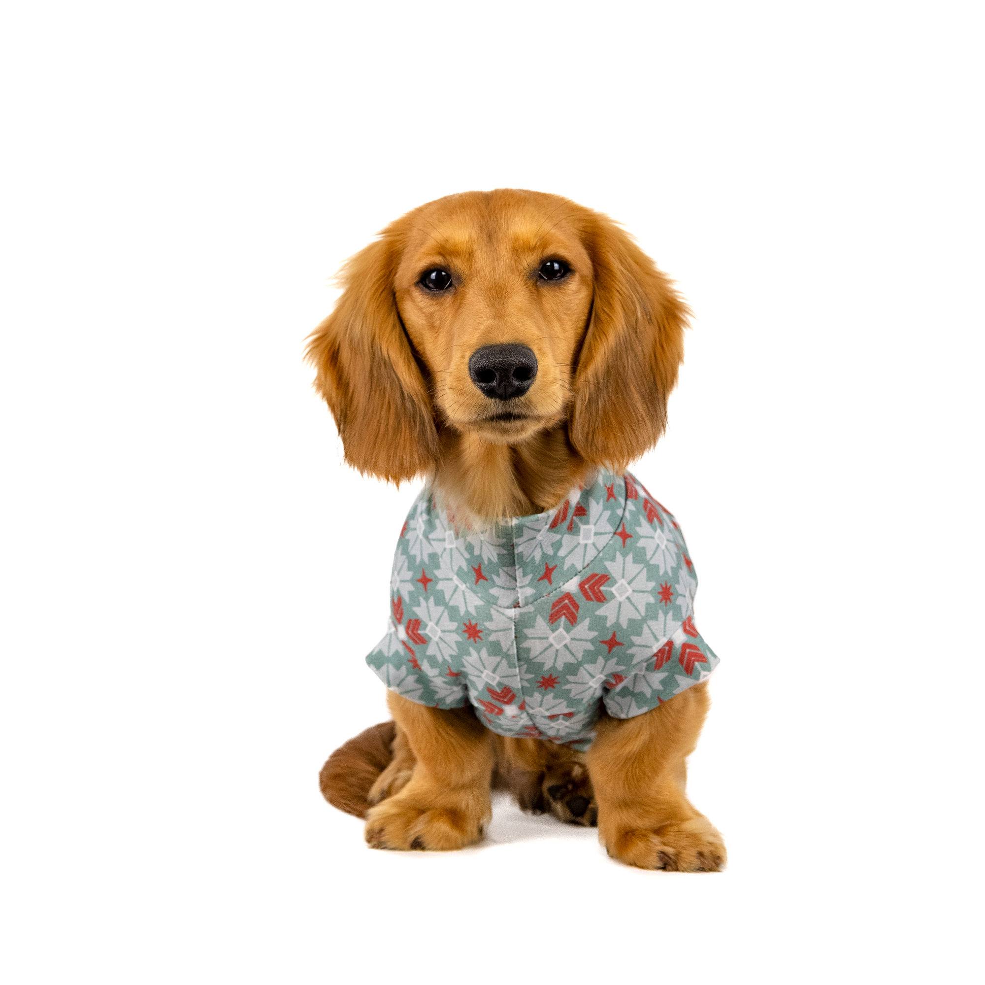 The Not So Ugly Sweater