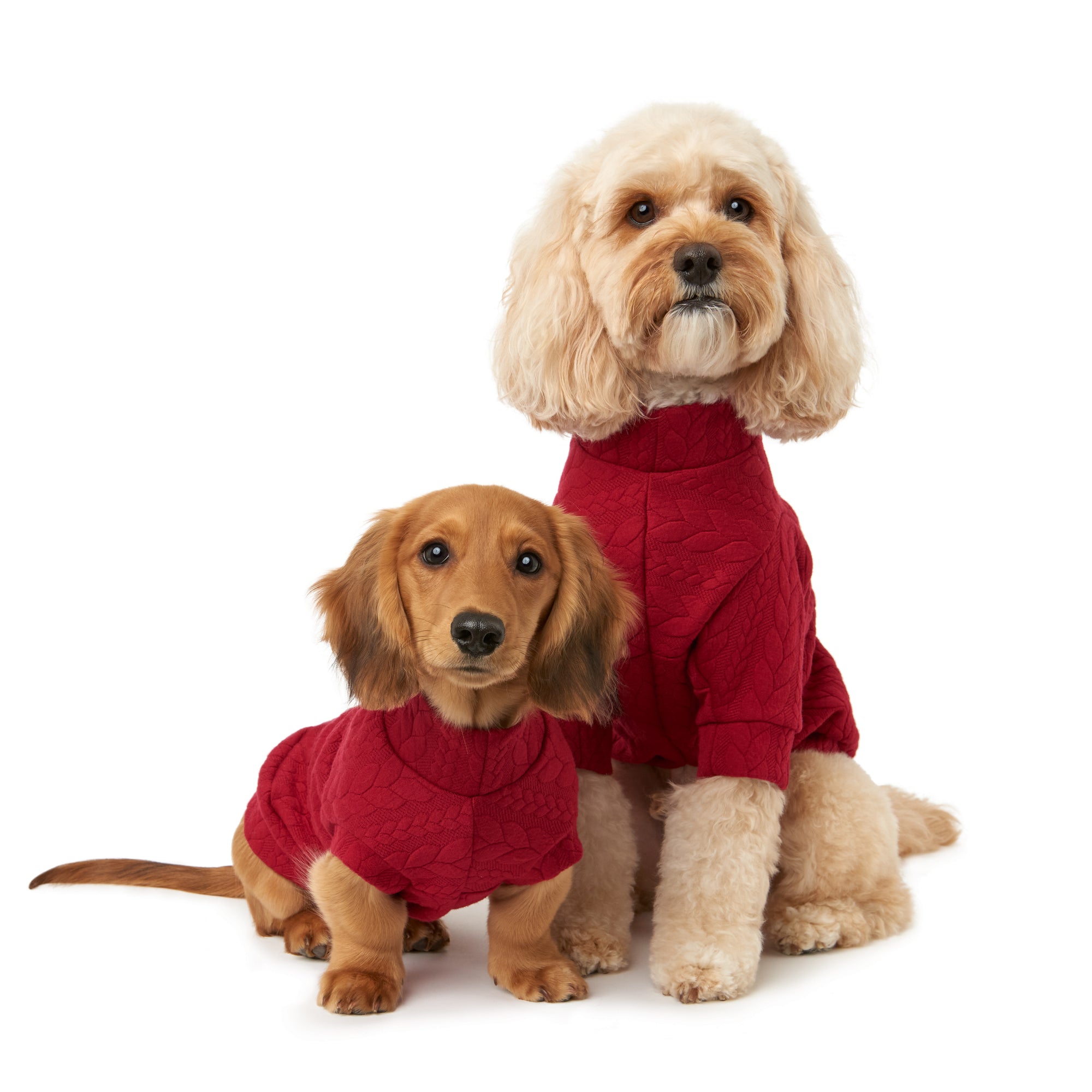 The Berry Sweater