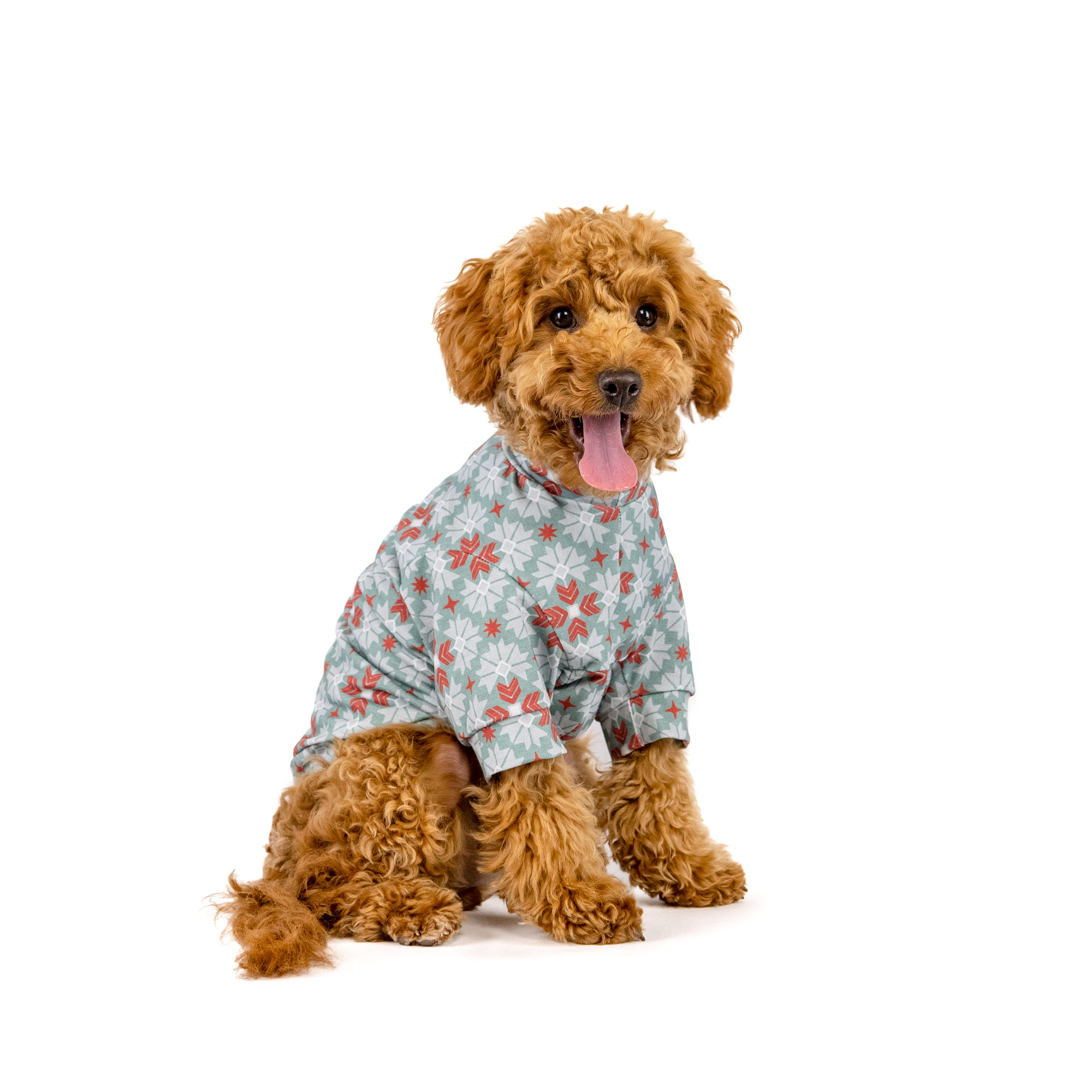 The Not So Ugly Sweater