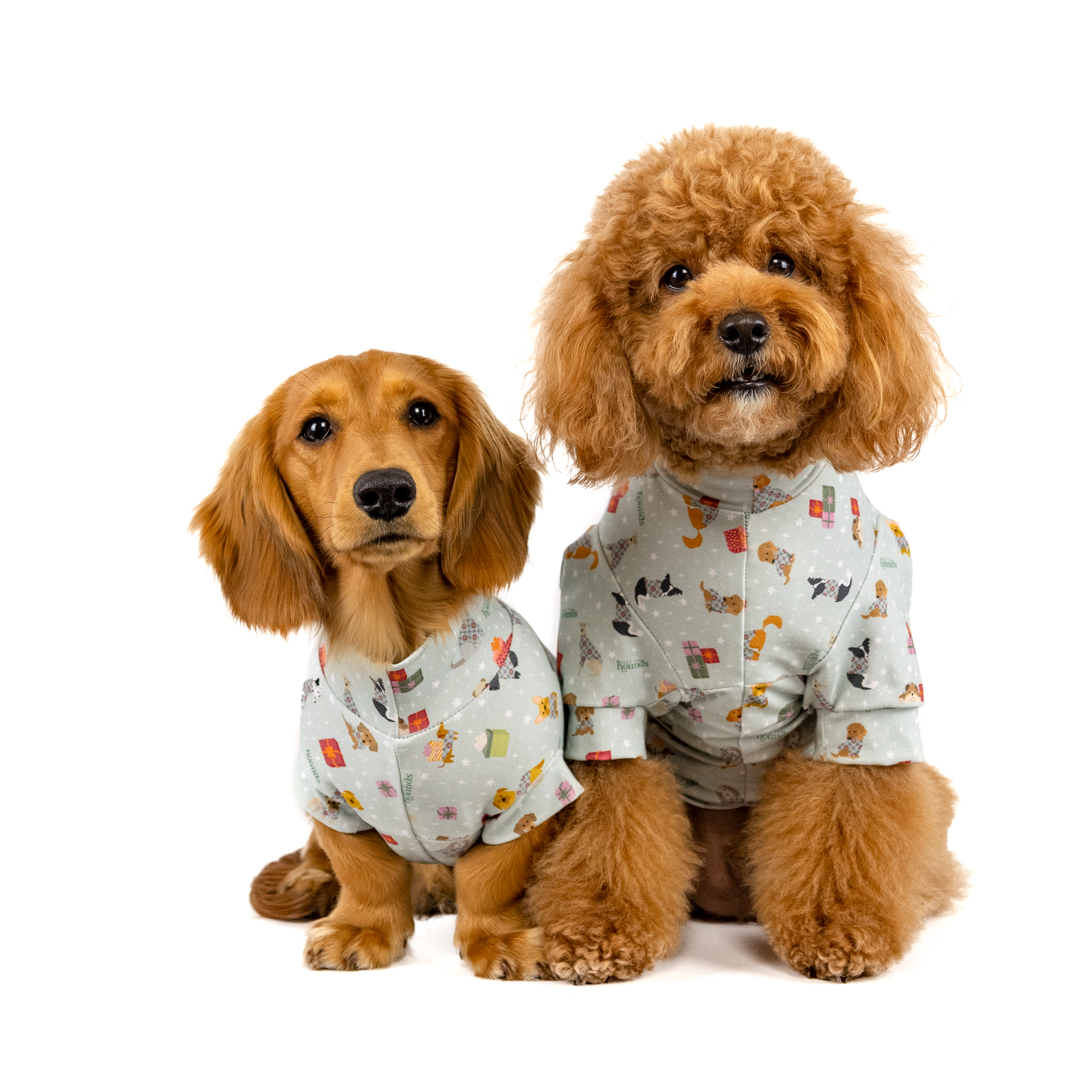 The 12 Dogs of Christmas