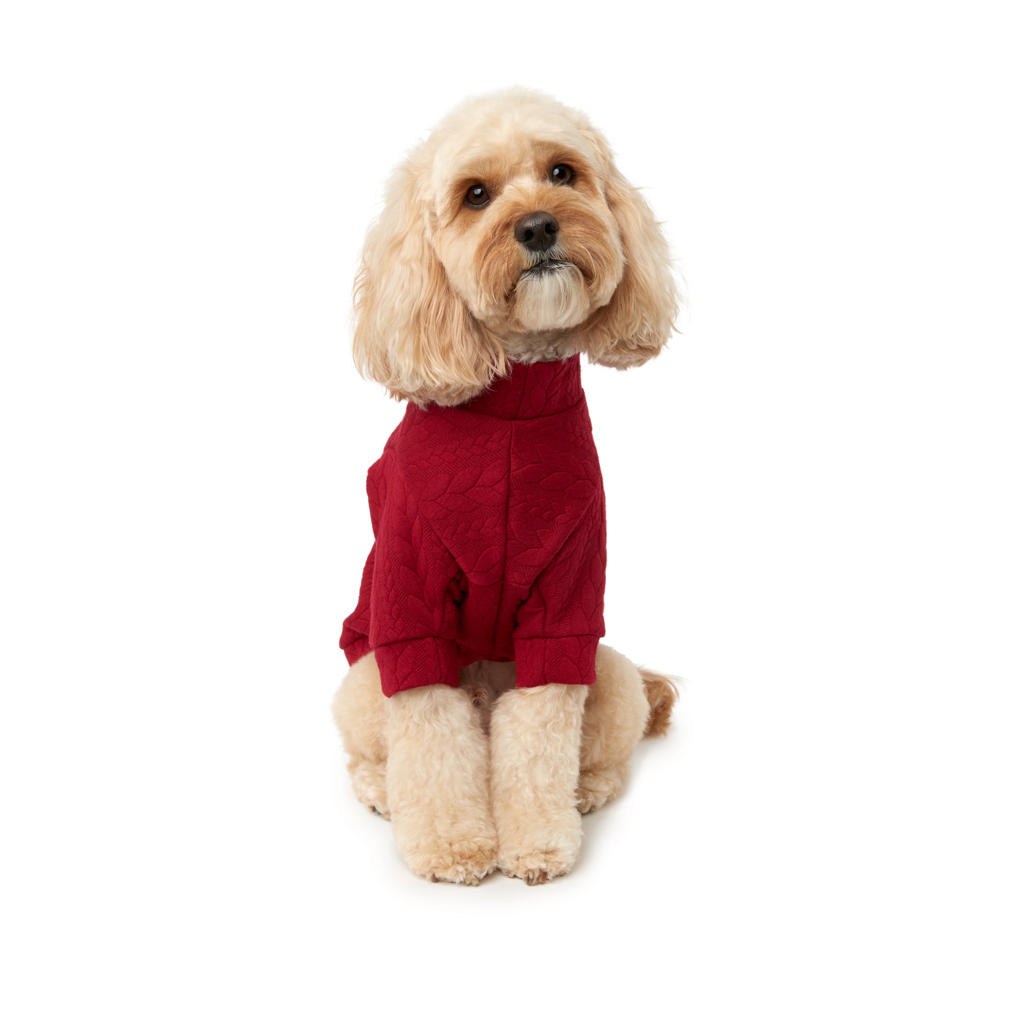 The Berry Sweater