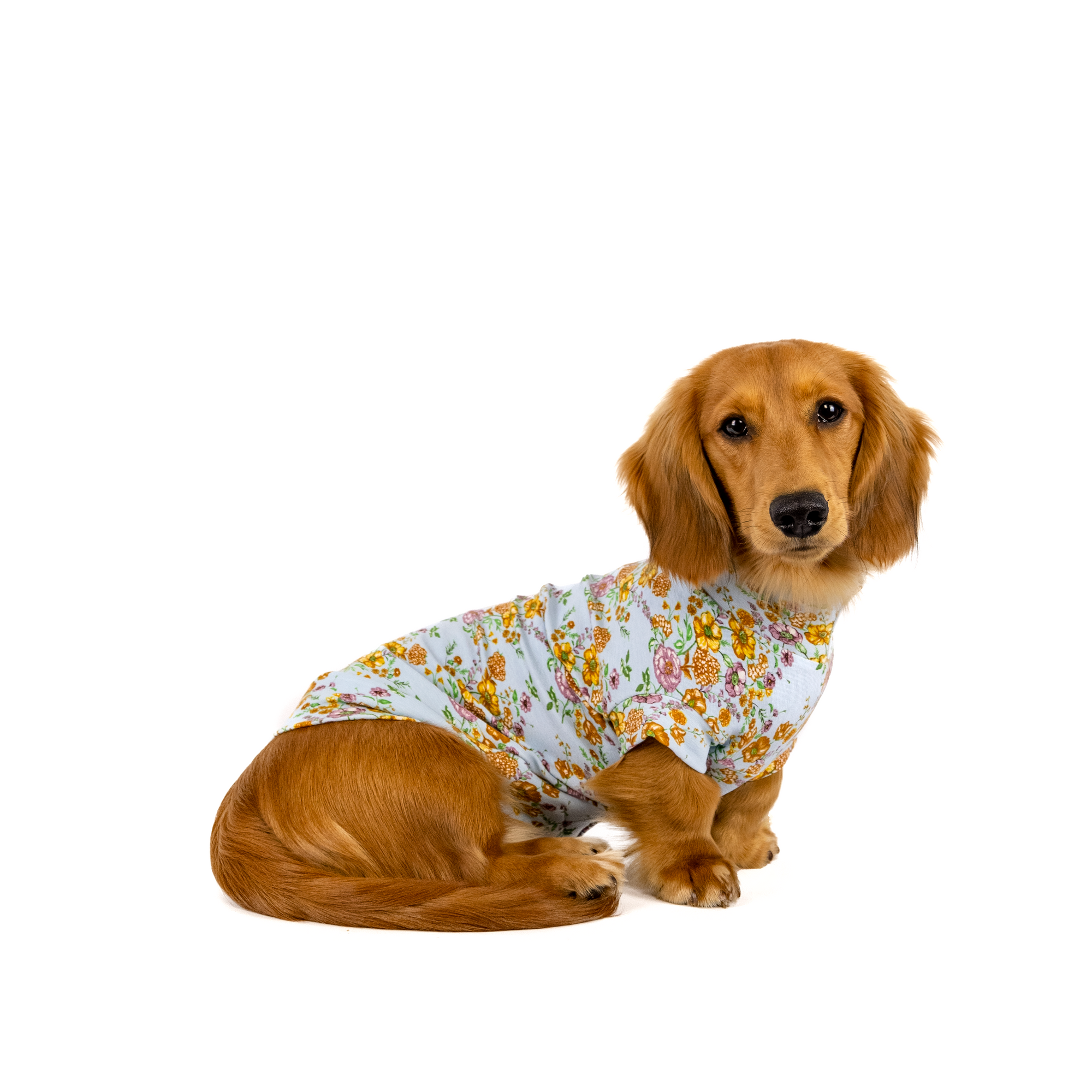 The Gardenvale Tee