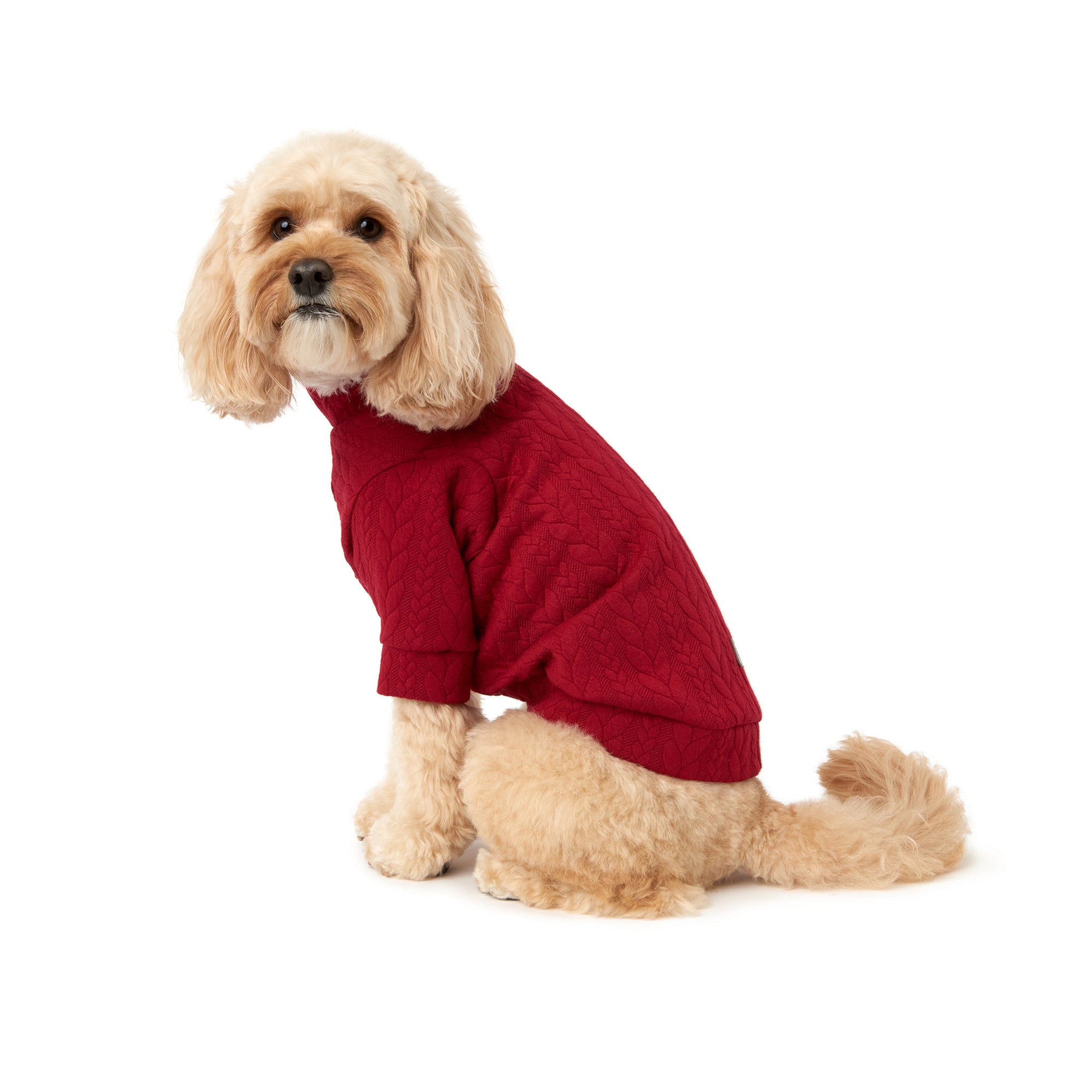 The Berry Sweater