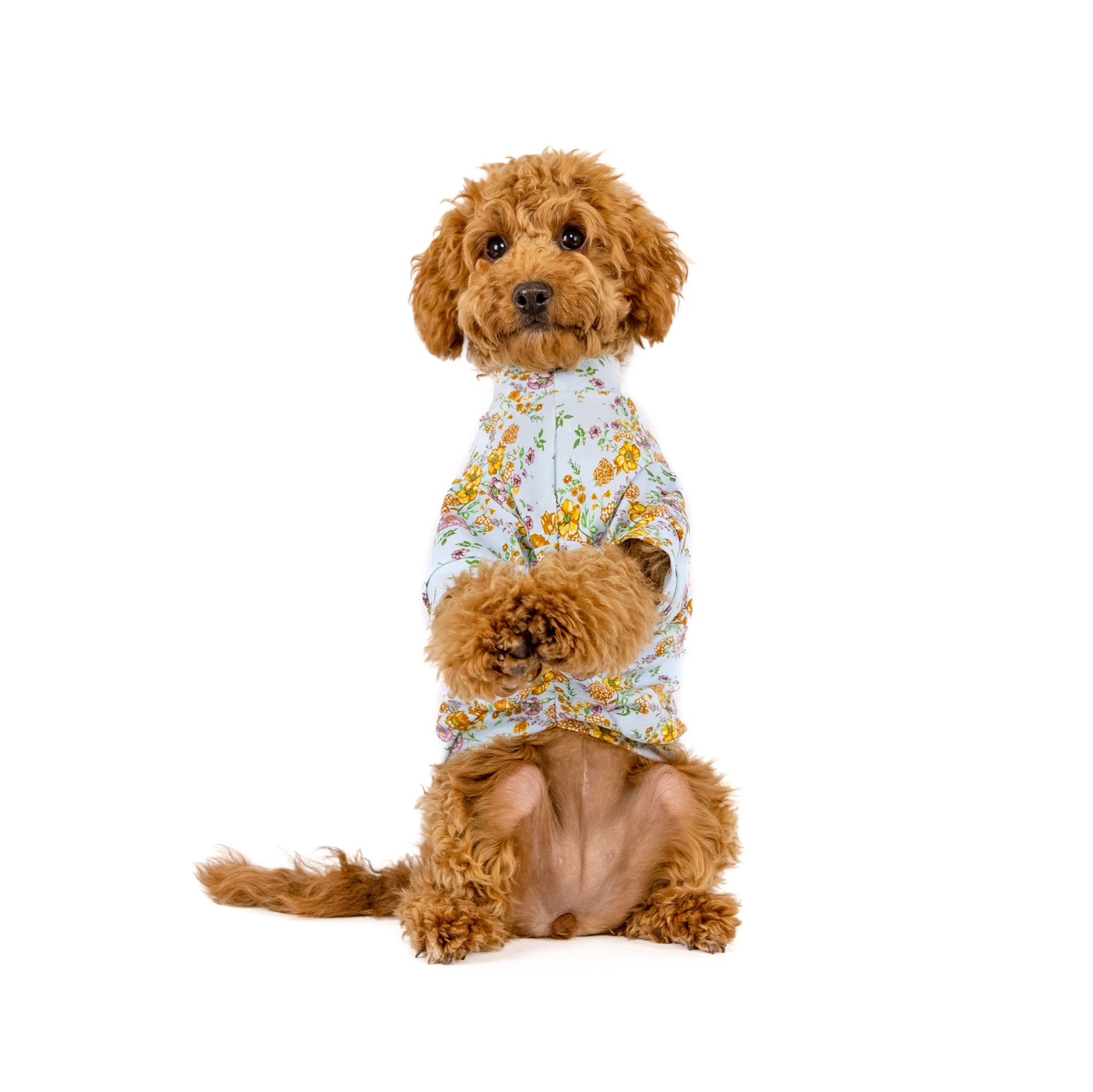 The Gardenvale Tee