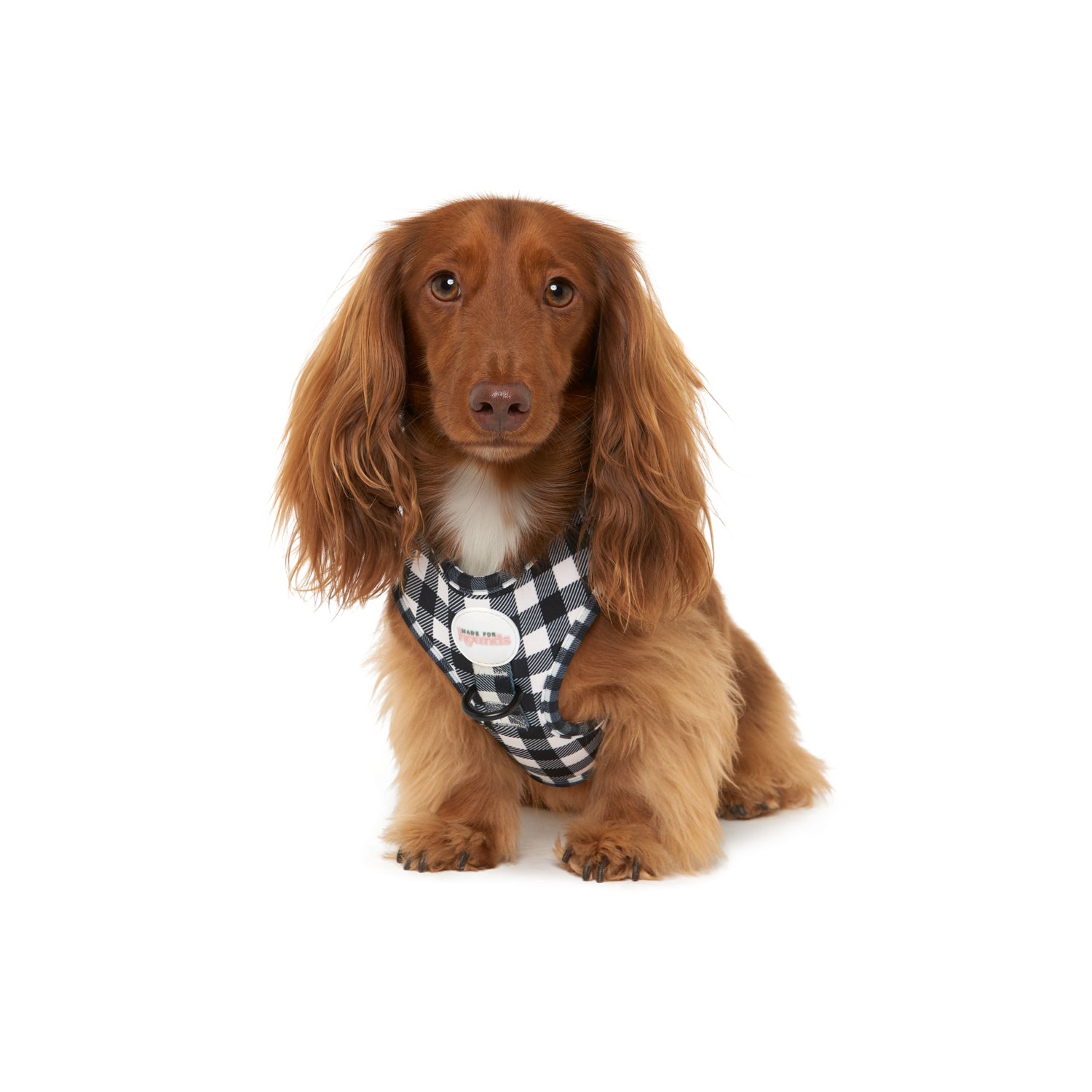 The Black Tie Harness - Adjustable (Harness Only)