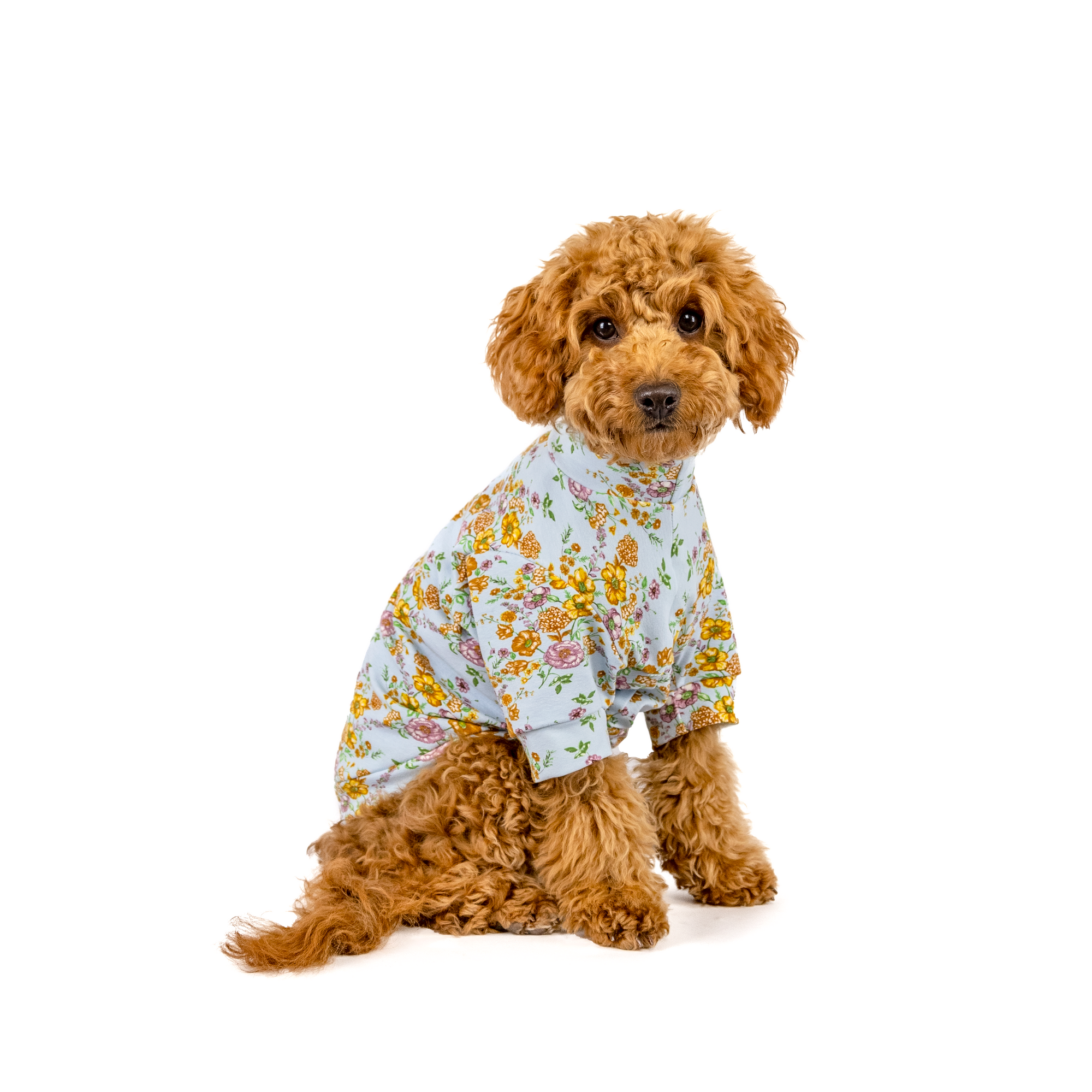 The Gardenvale Tee