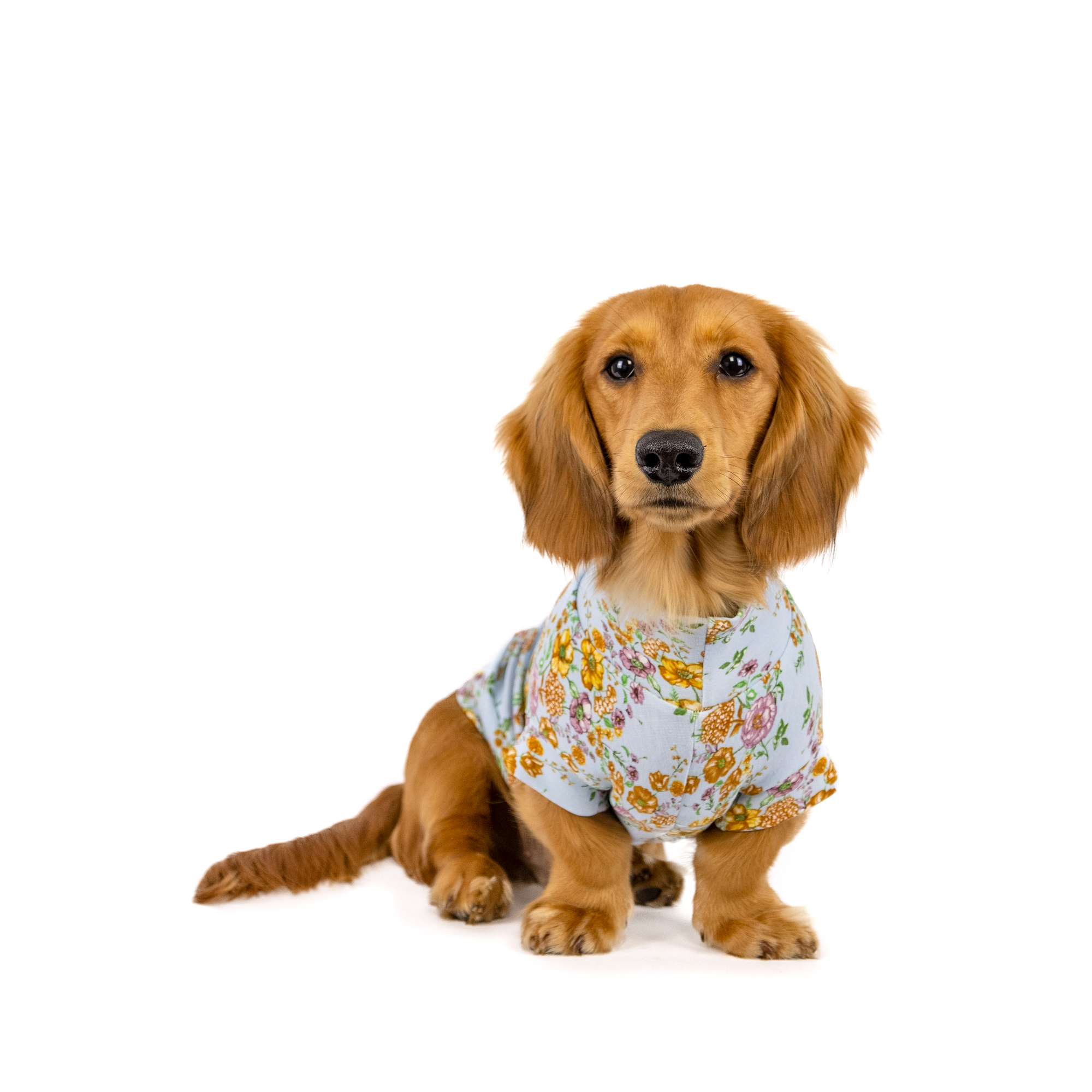 The Gardenvale Tee