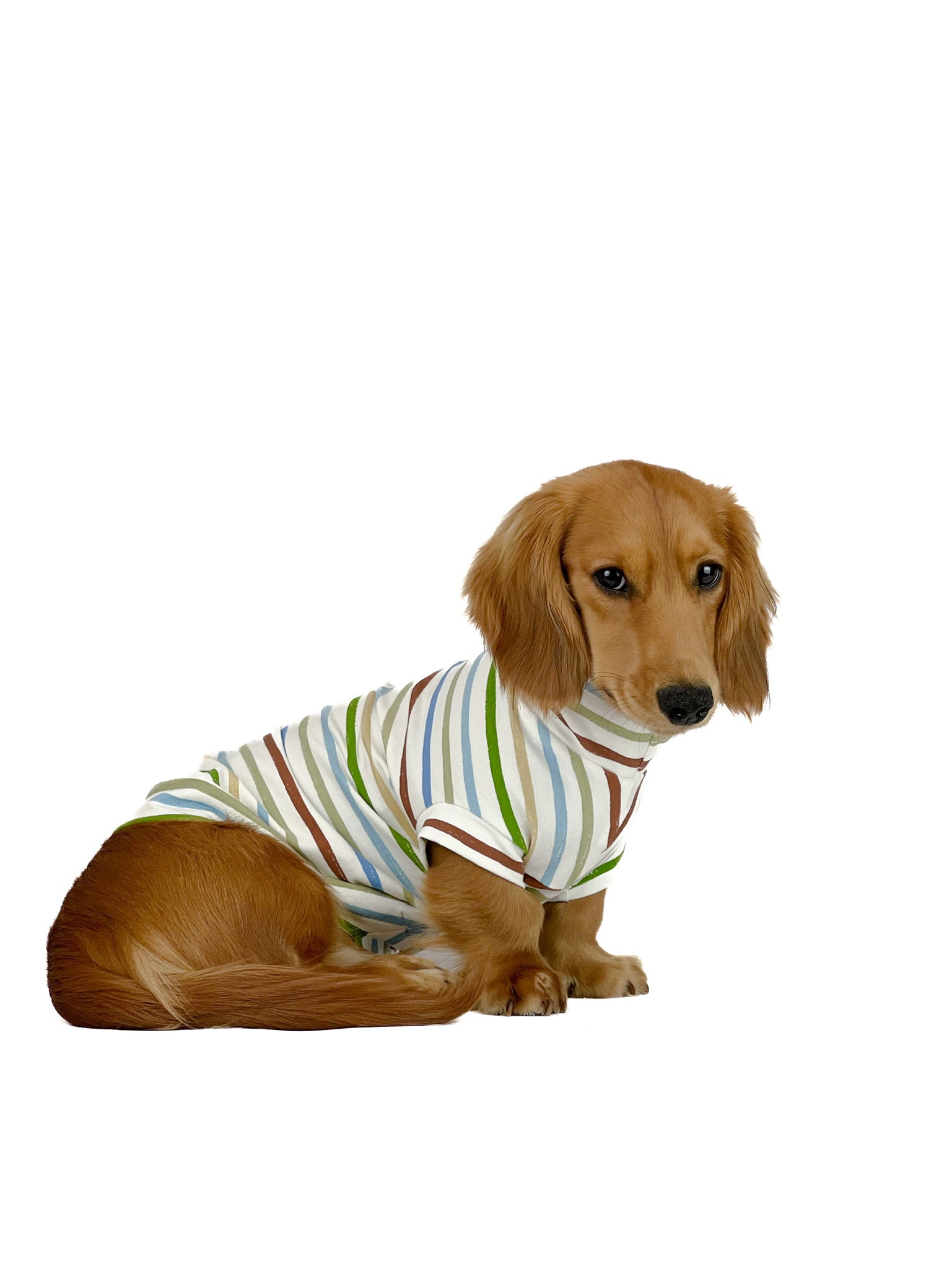 The Springvale Tee