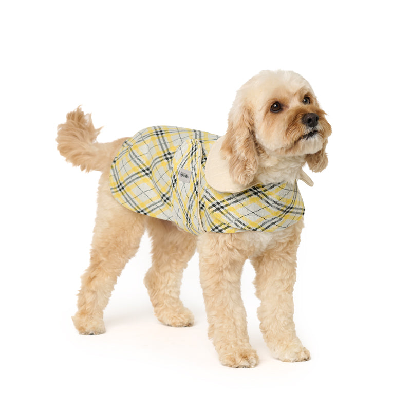 The Sydney Coat with Collar (M only)