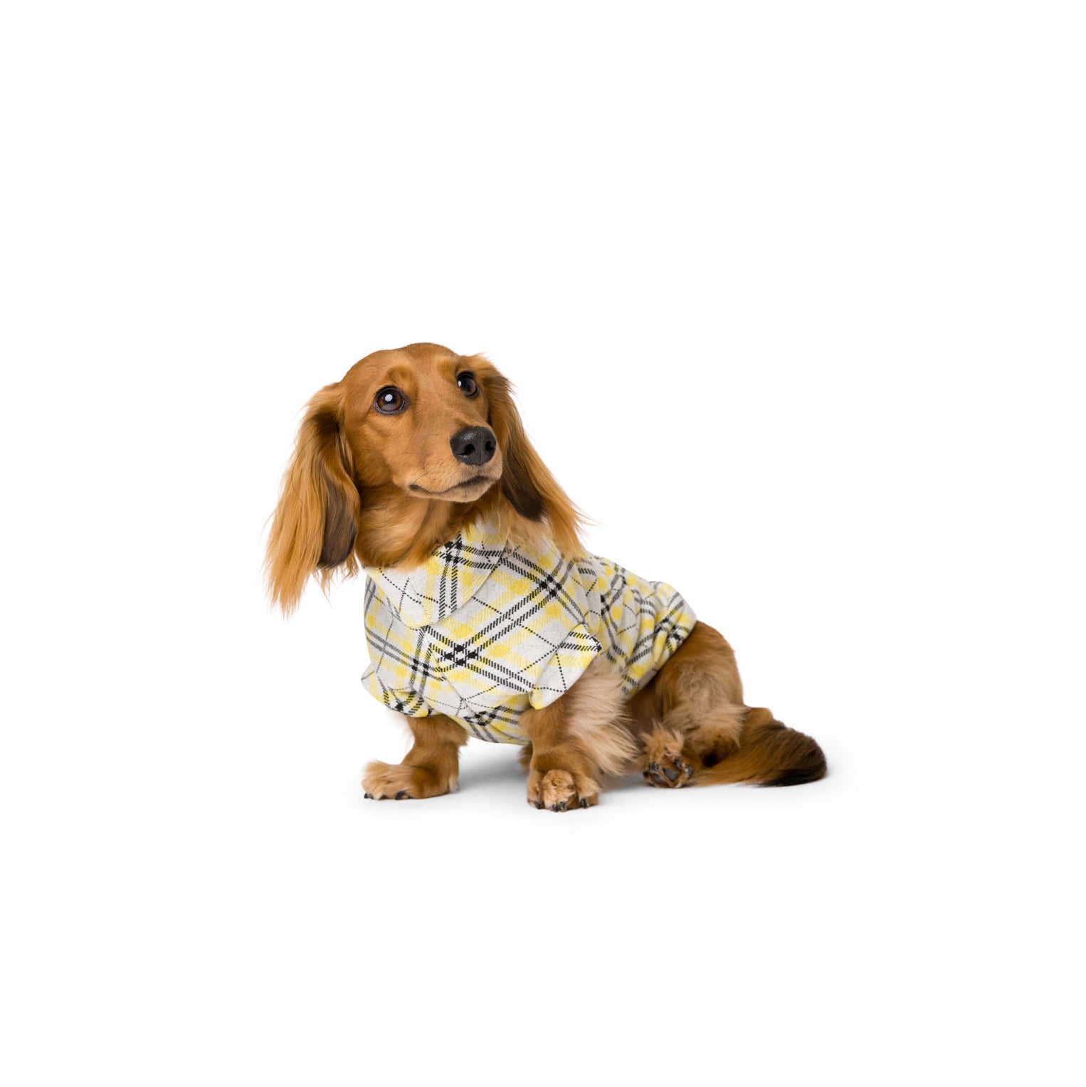 The Sydney Sweater