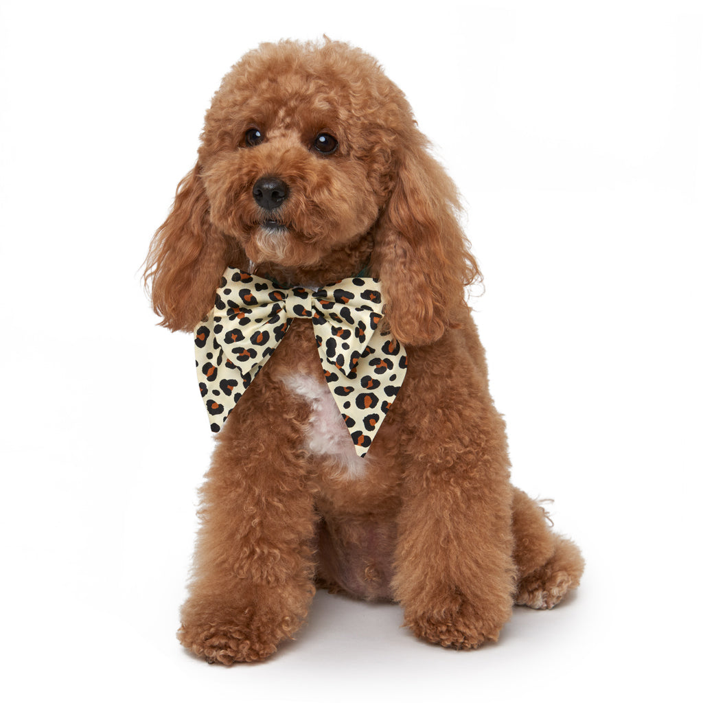 Sailor Bow Tie - Leopard Print
