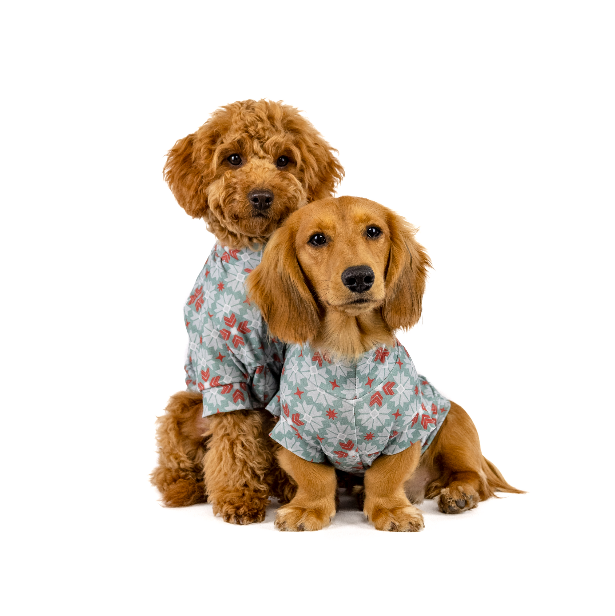 The Not So Ugly Sweater