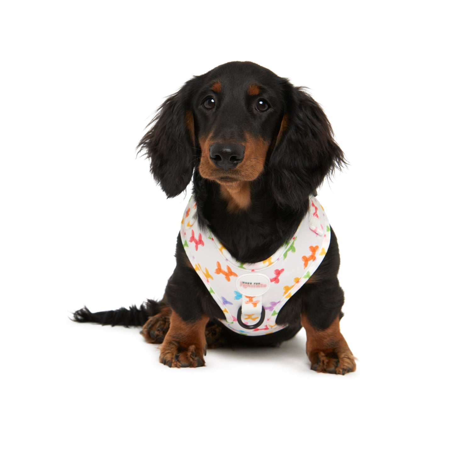 The Party Dogs Harness - Adjustable (Harness Only)
