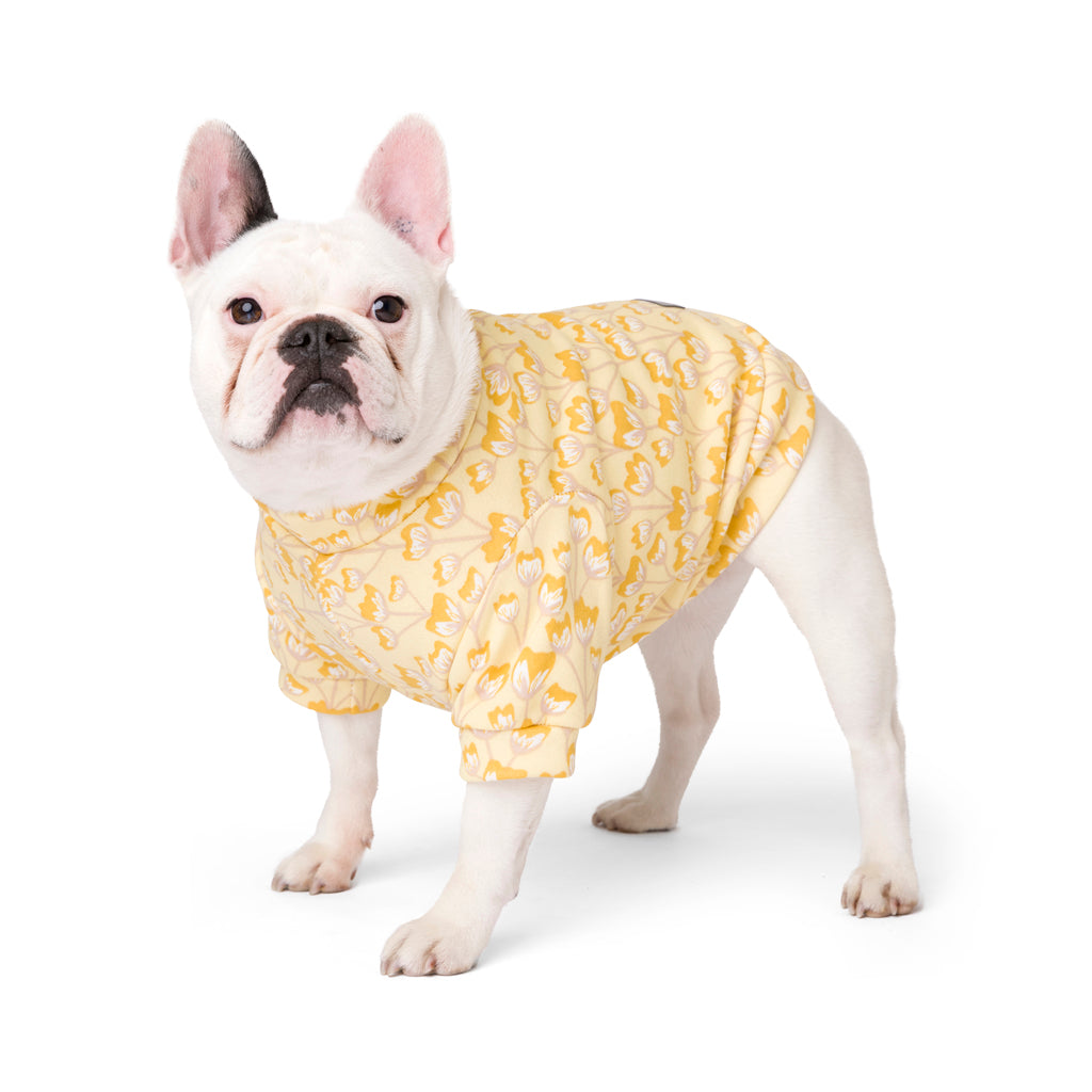 The Keilor Sweater