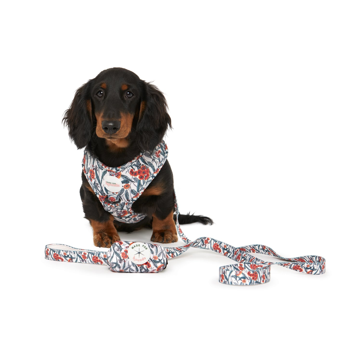 The Australiana Lead/Leash