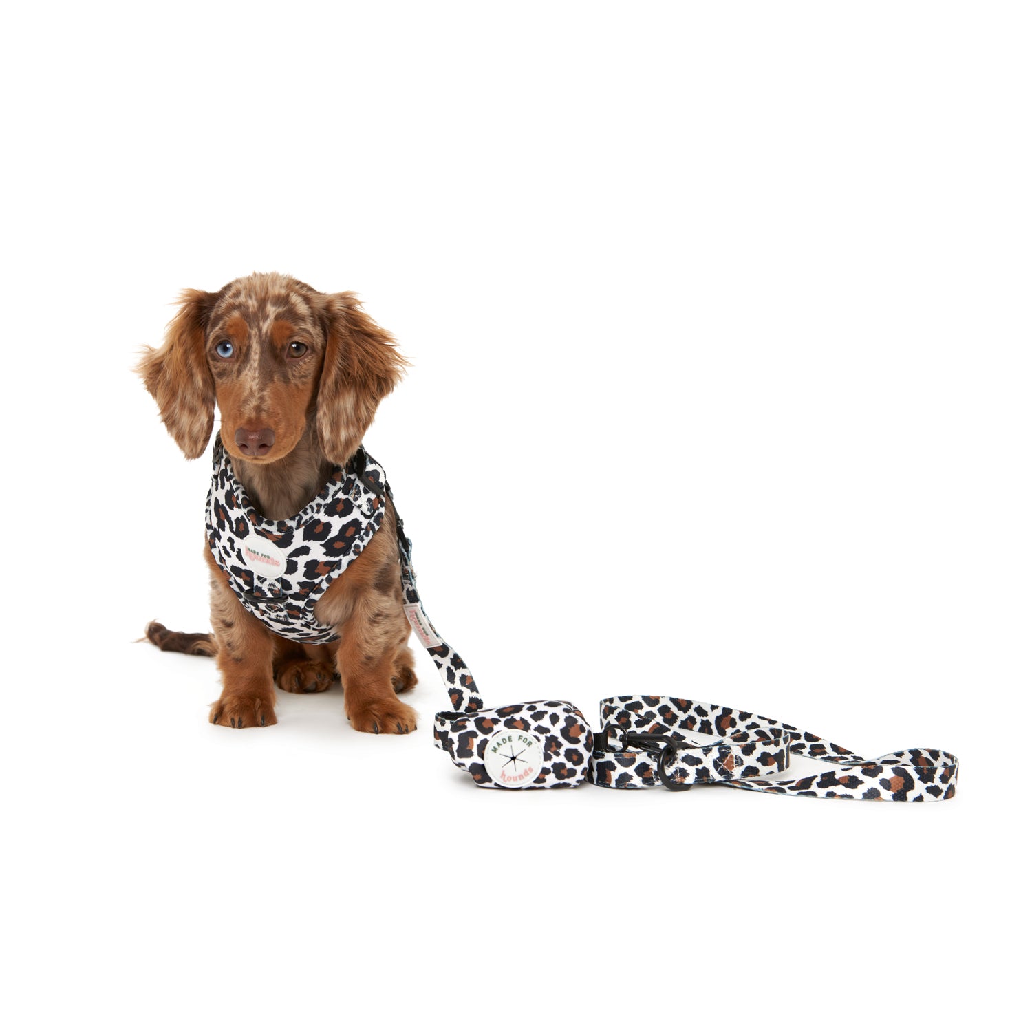 The Leopard Harness Set - Adjustable