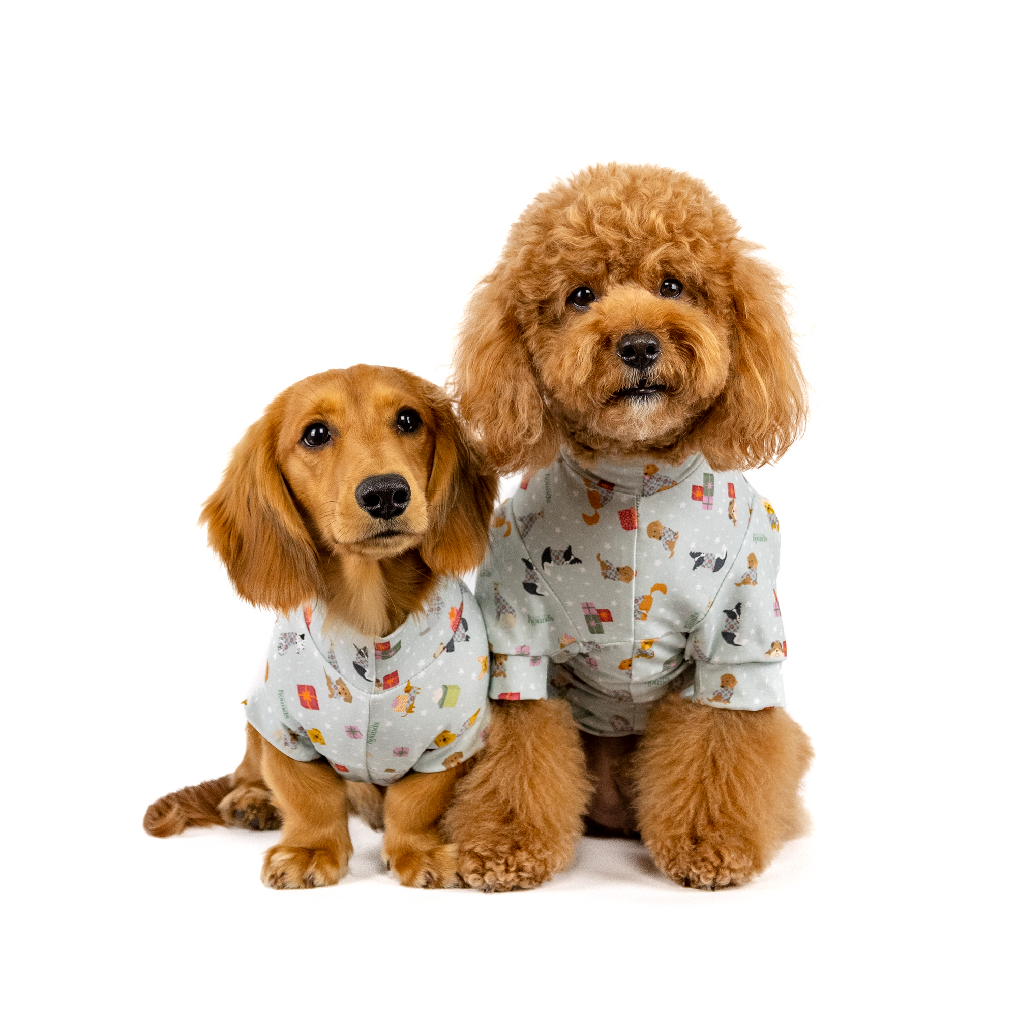 The 12 Dogs of Christmas