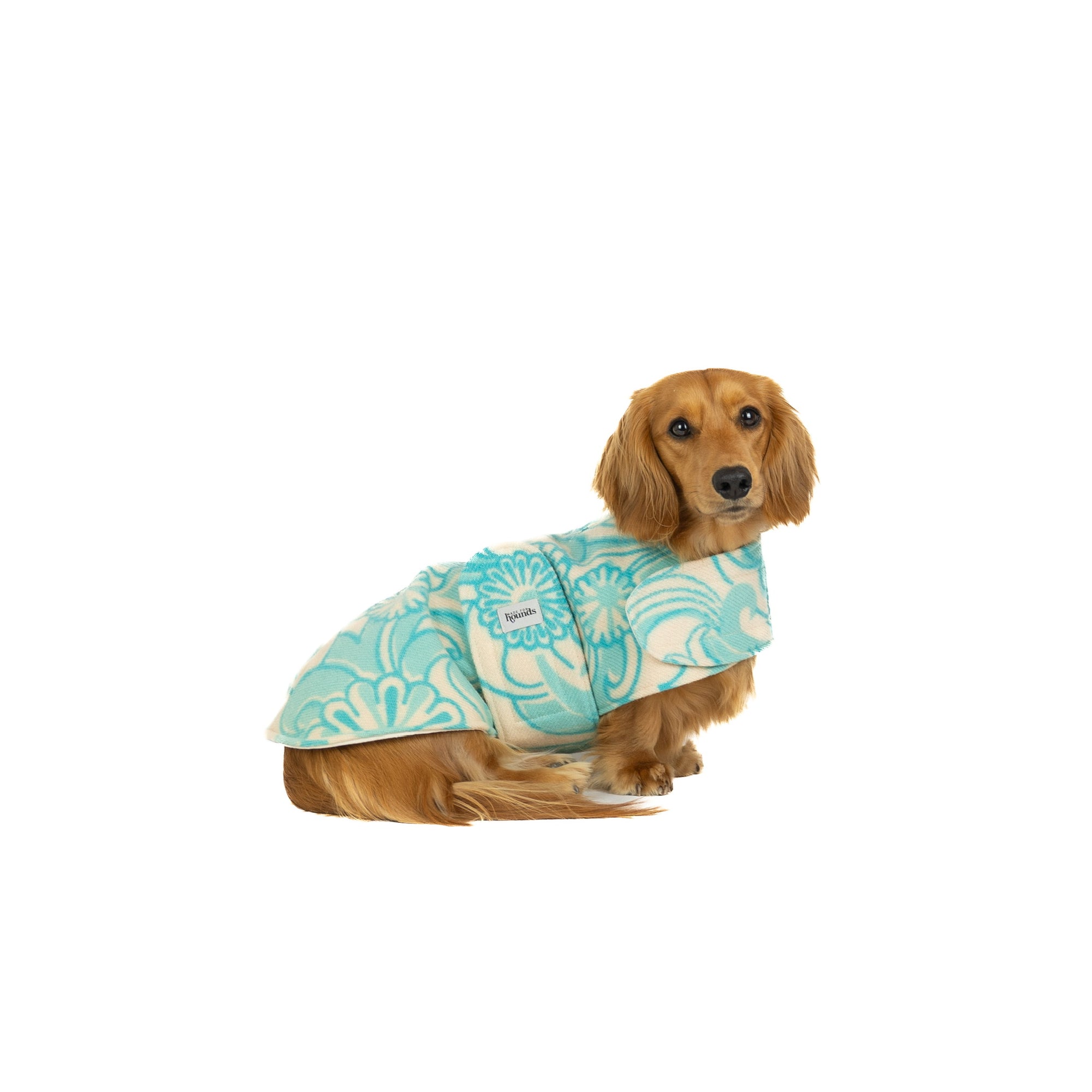 The Vintage Coat - Number 23 (Classic & Dachshund)