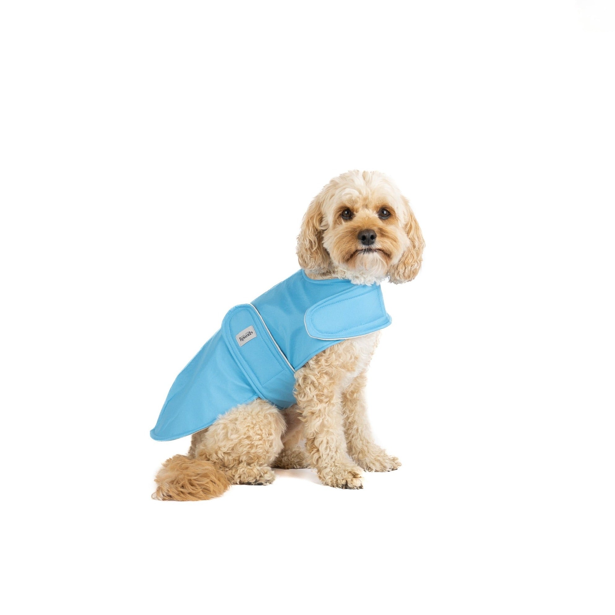 The Kingston Water Resistant/ Wind Resistant Coat (Classic & Dachshund)