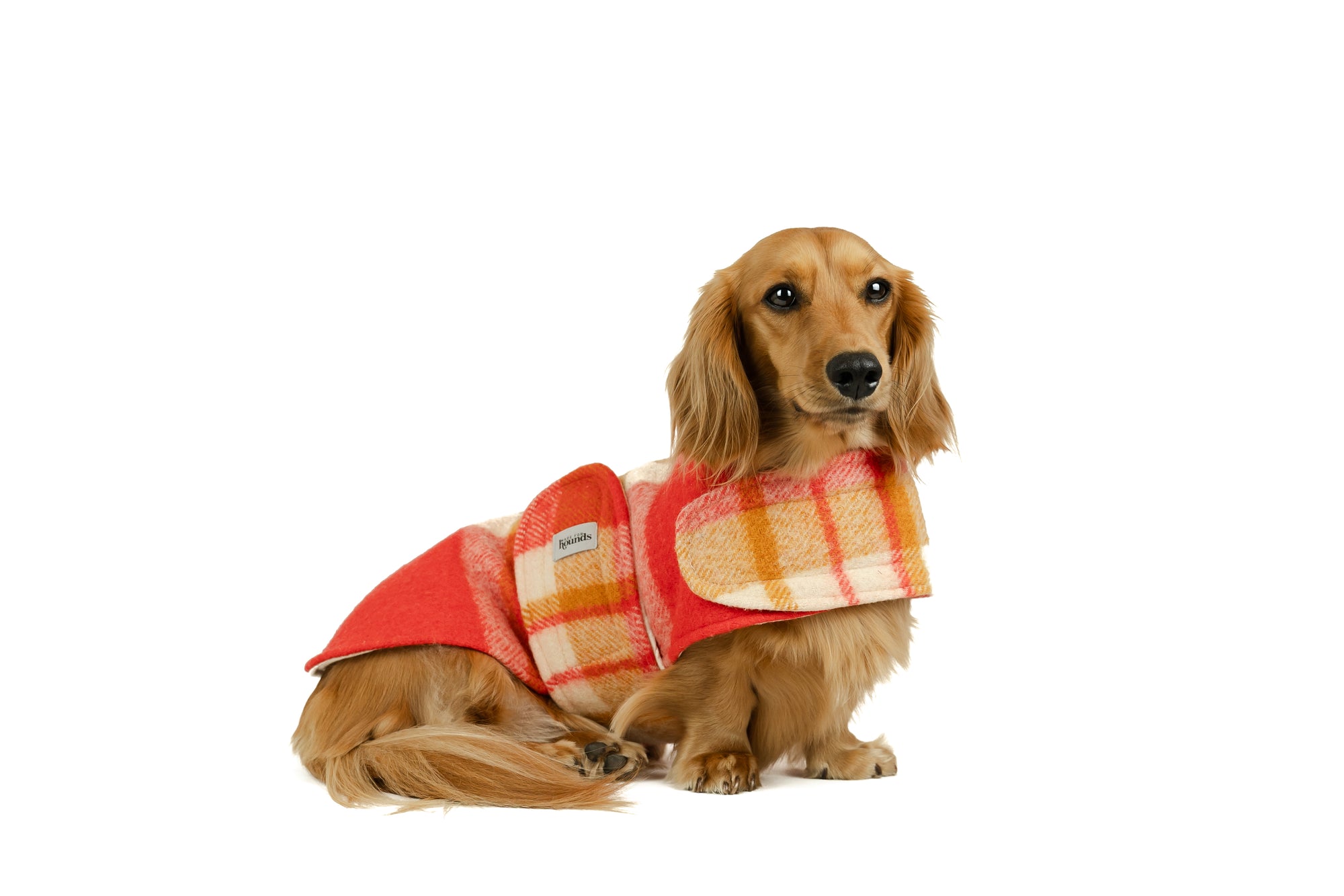 The Vintage Coat - Number 24 (Classic & Dachshund)