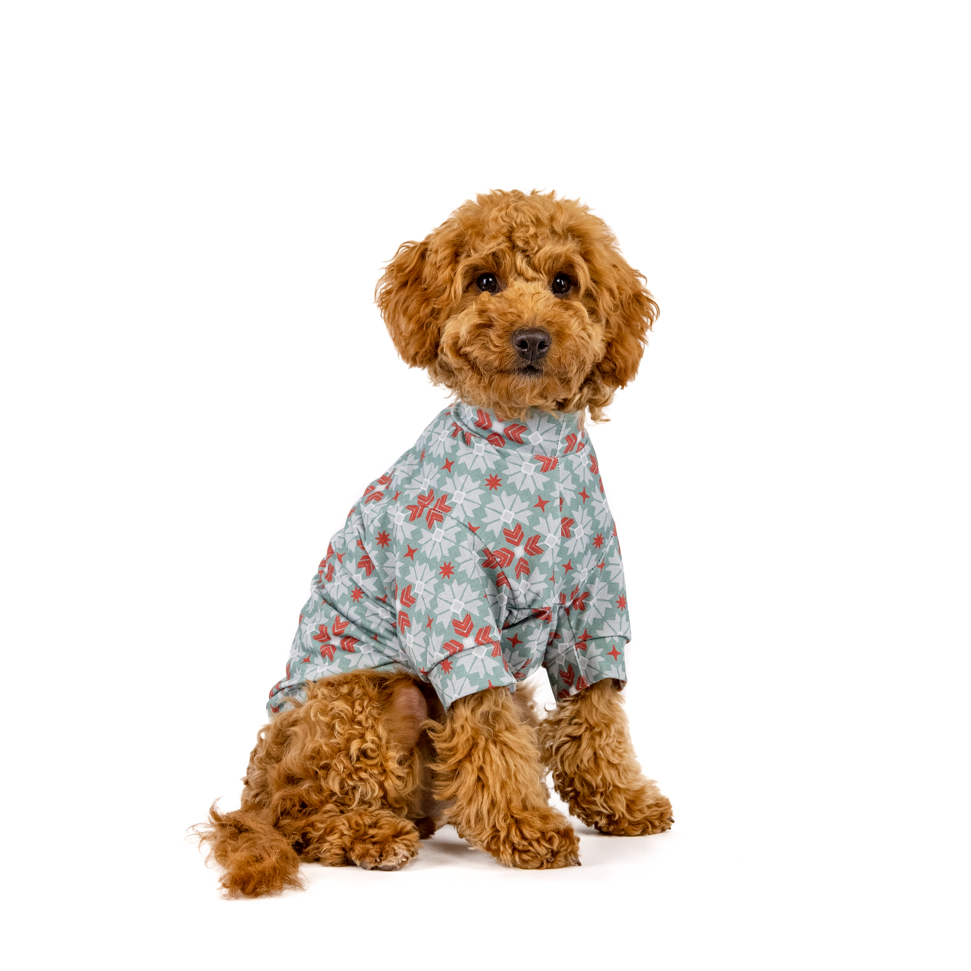 The Not So Ugly Sweater