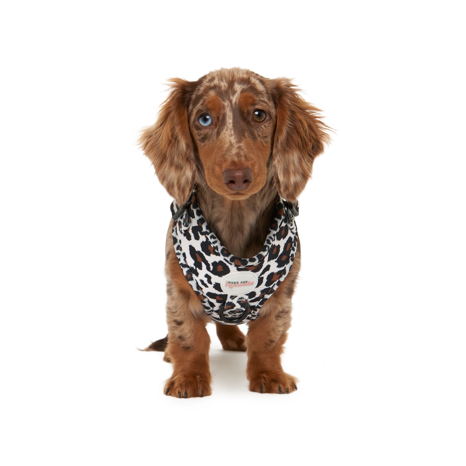 The Leopard Harness - Adjustable (Harness Only)