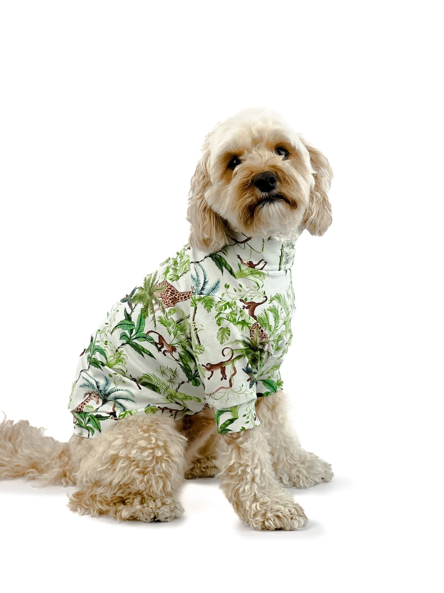 The Healesville Tee