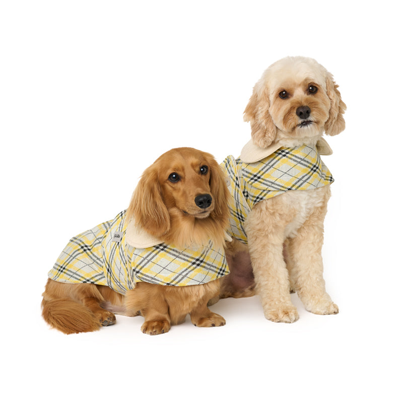 The Sydney Coat with Collar (M only)