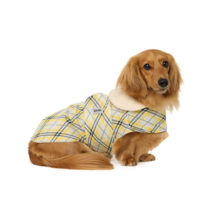 The Sydney Coat with Collar (M only)