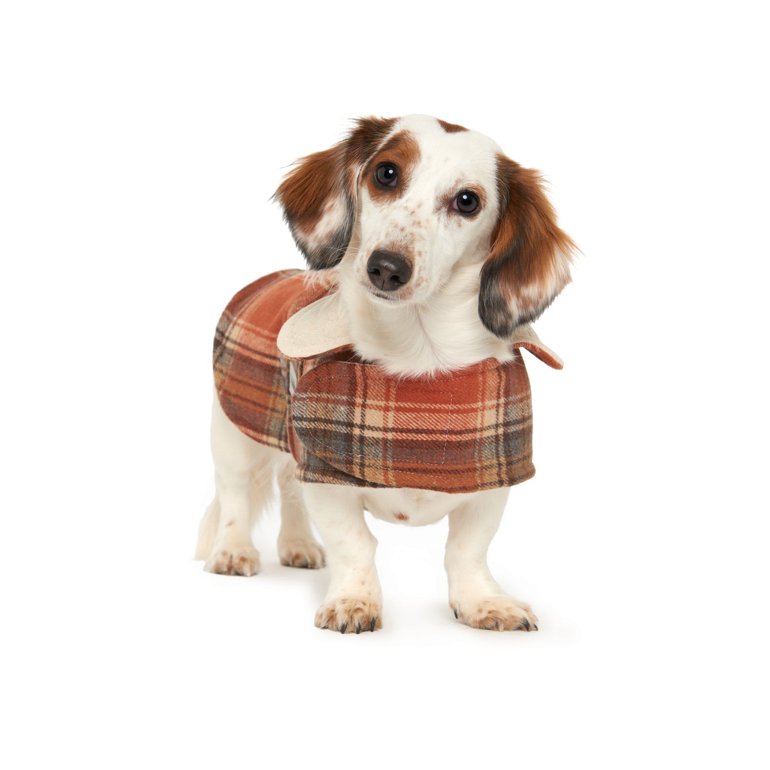 The Mosman Coat with Collar