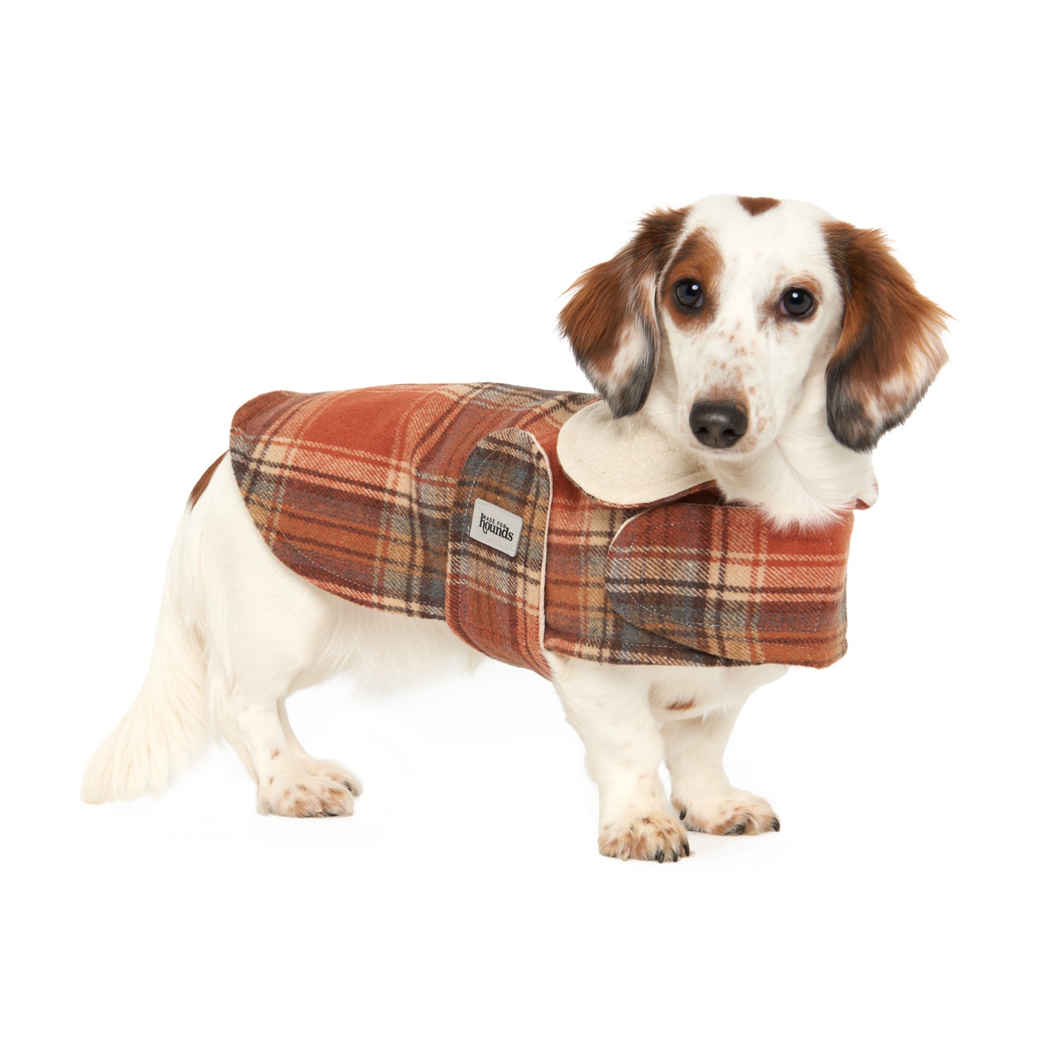 The Mosman Coat with Collar