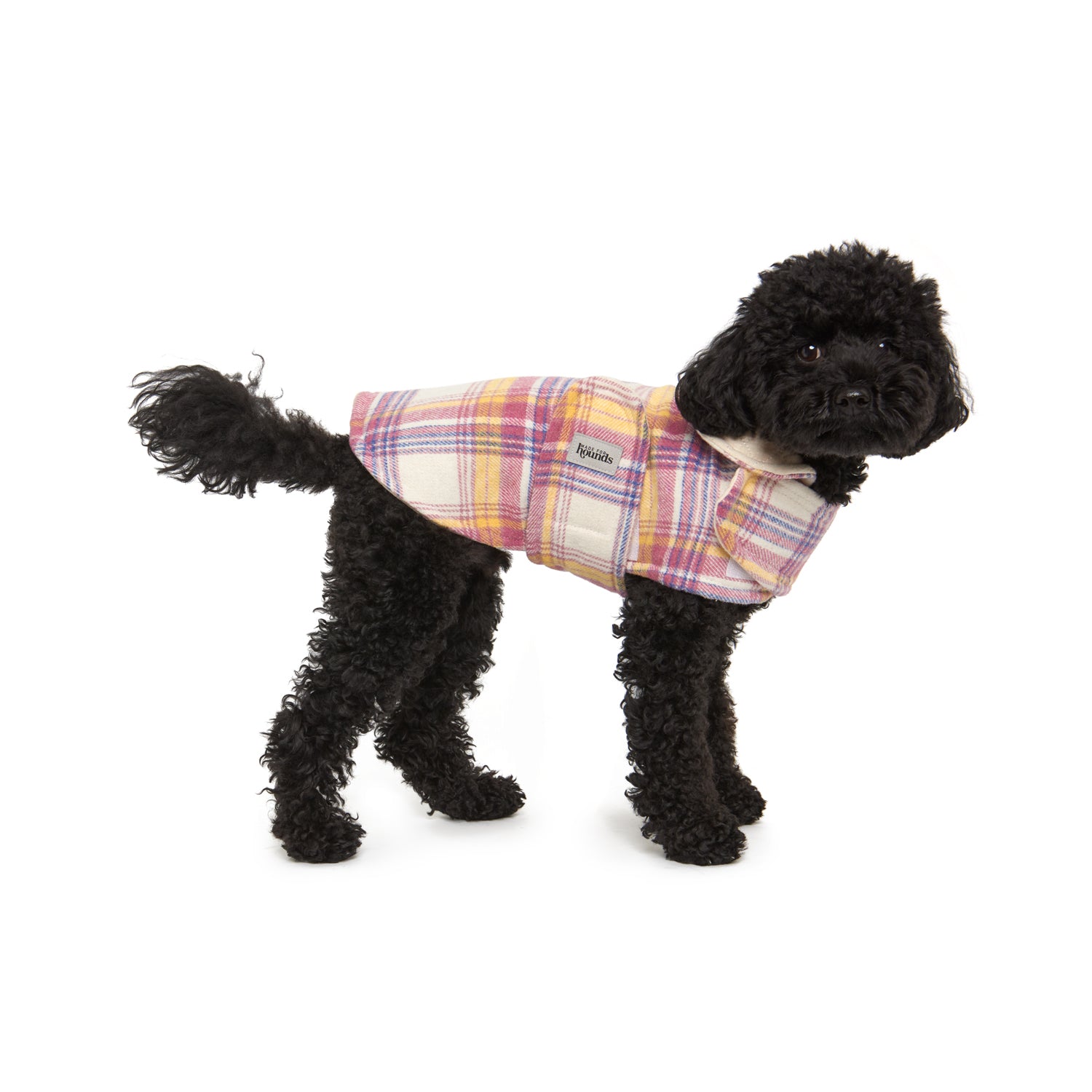 The Anglesea Coat with Collar