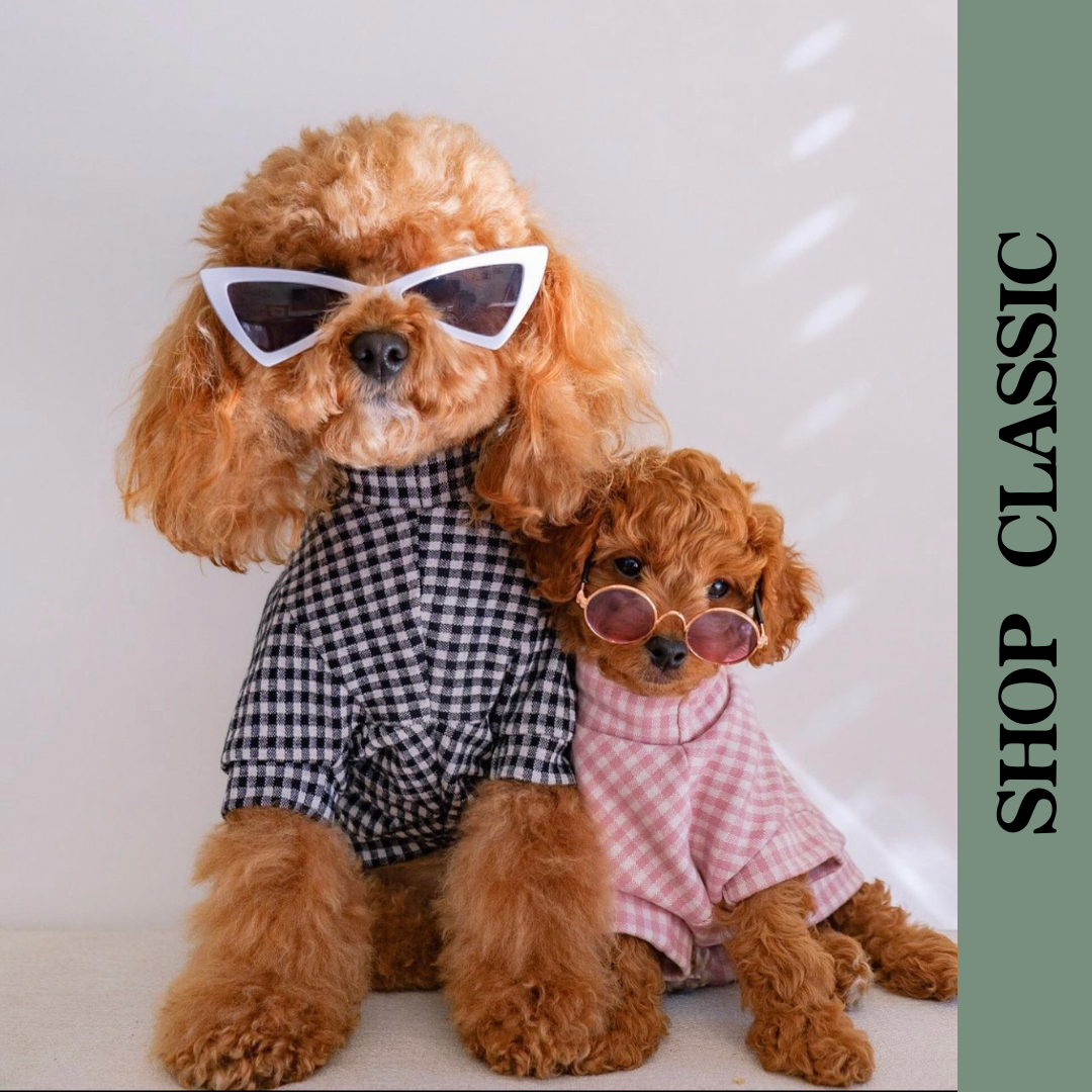 Luxury Designer Dog Clothes Pet Winter Sweater Leopard Print Style Dog  Fashion Pet Clothes - China Pet Clothes and Dog Hoodie Pet Clothes price