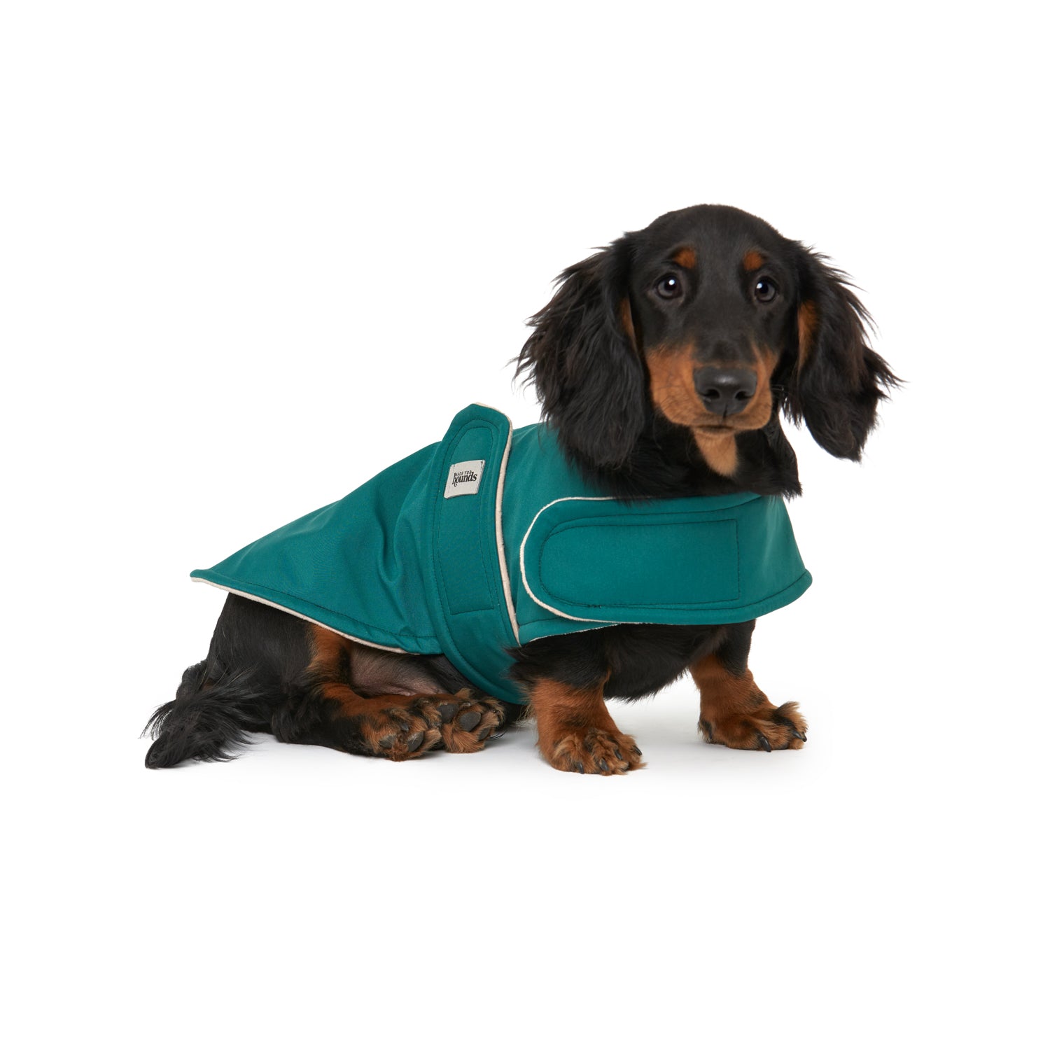 The Launceston Water Resistant/ Wind Resistant Coat (Classic & Dachshund)