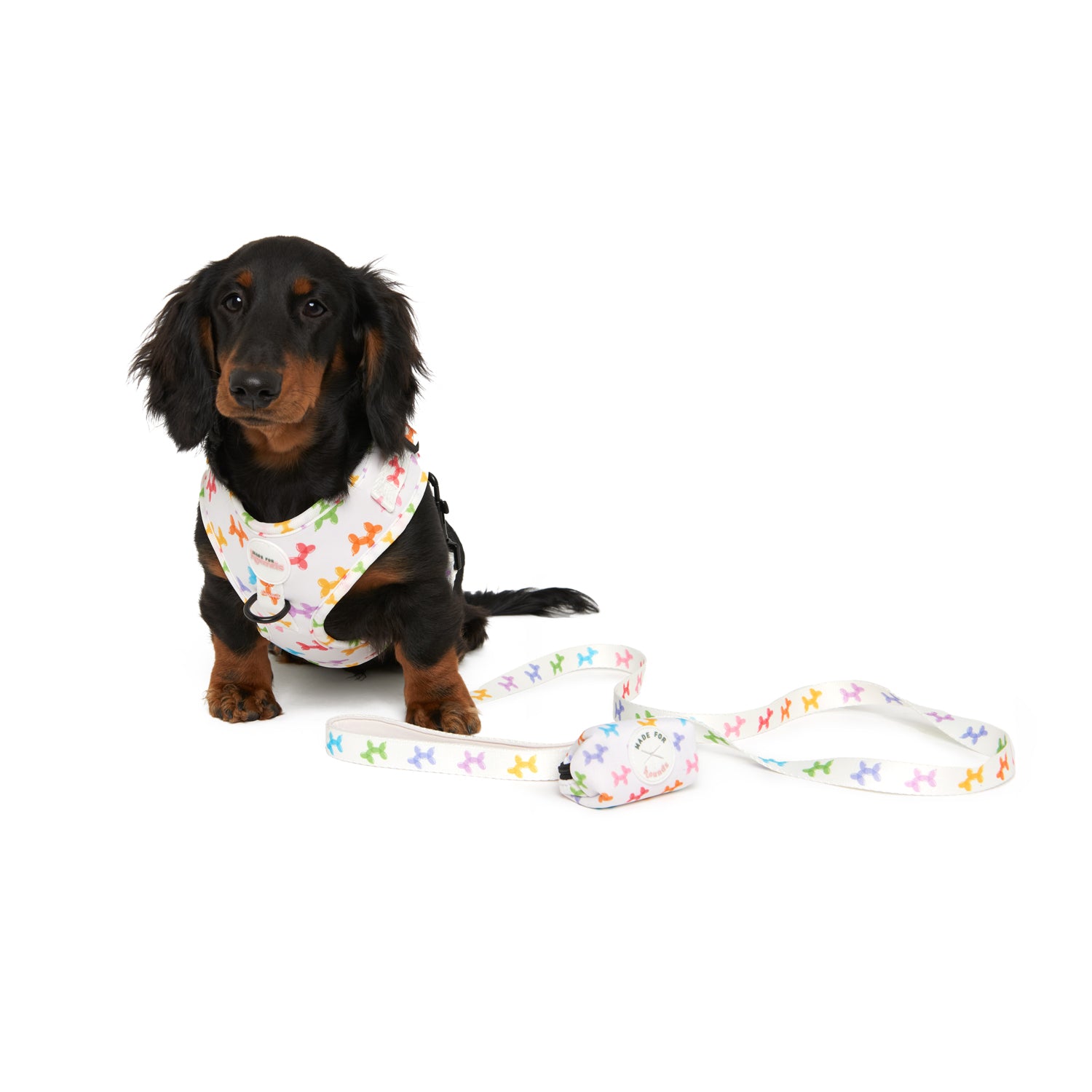 The Party Dog Harness Set