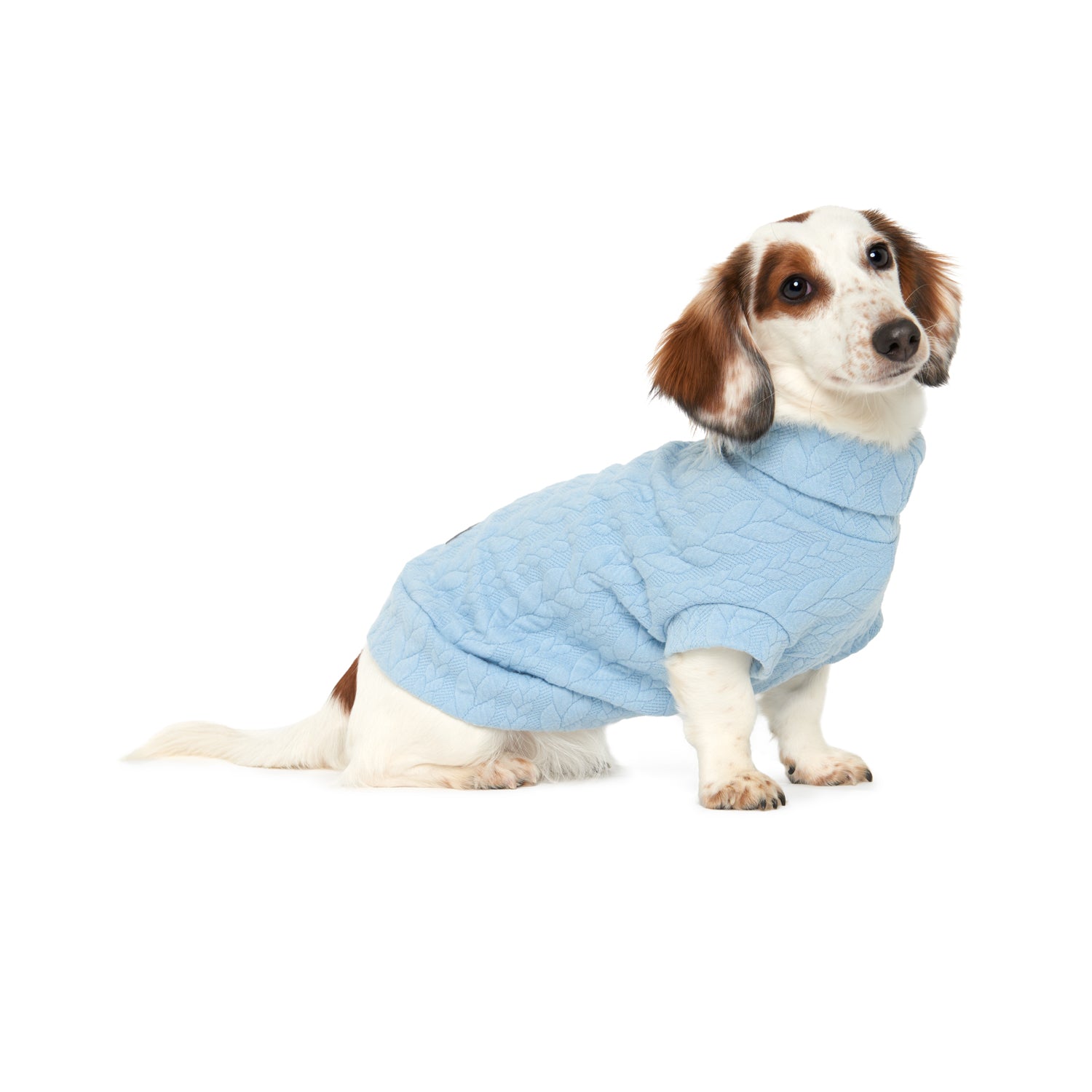 The Ocean Grove Sweater - Dachshund (2XS ONLY LEFT)