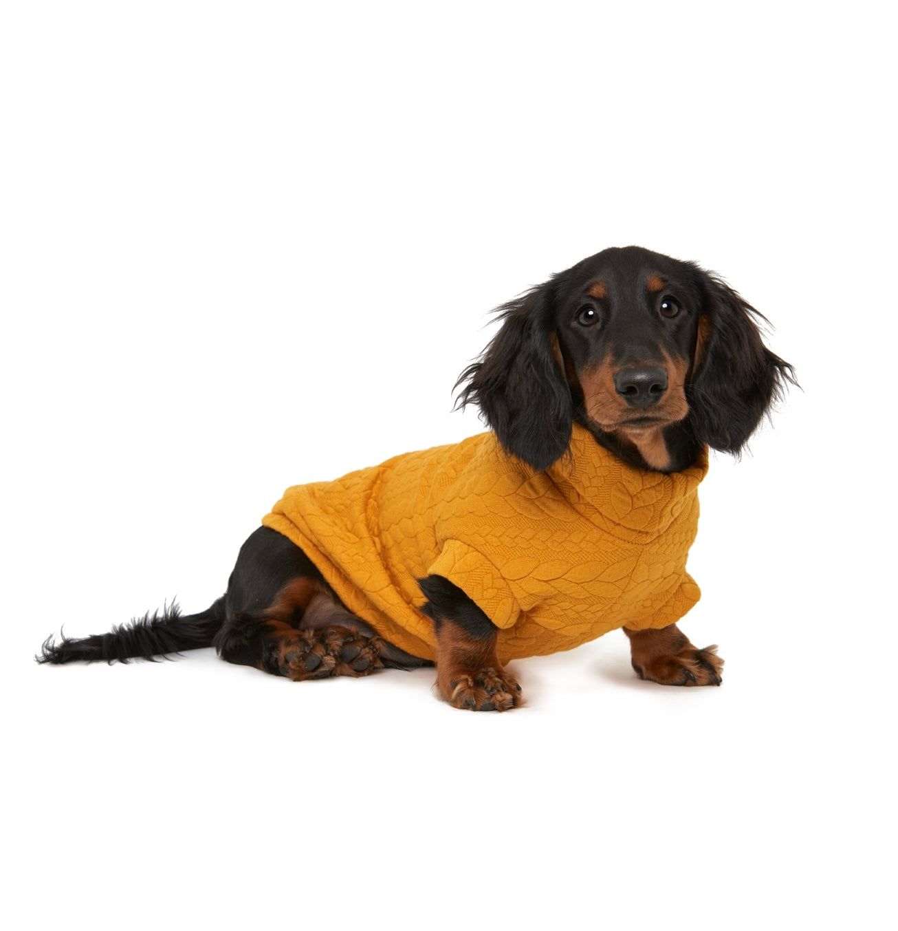 The Merrylands Sweater - Dachshund (2XS ONLY LEFT)