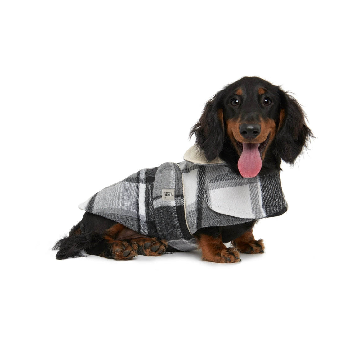 The Baxter Coat (Classic & Dachshund) (2XS ONLY LEFT)