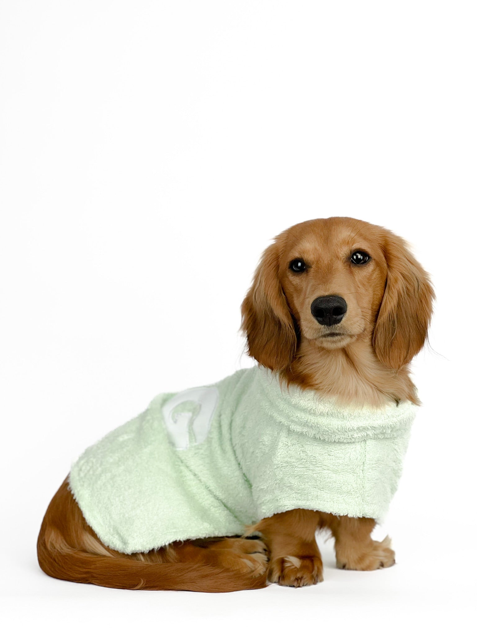 DOG Poncho Towel - Mint