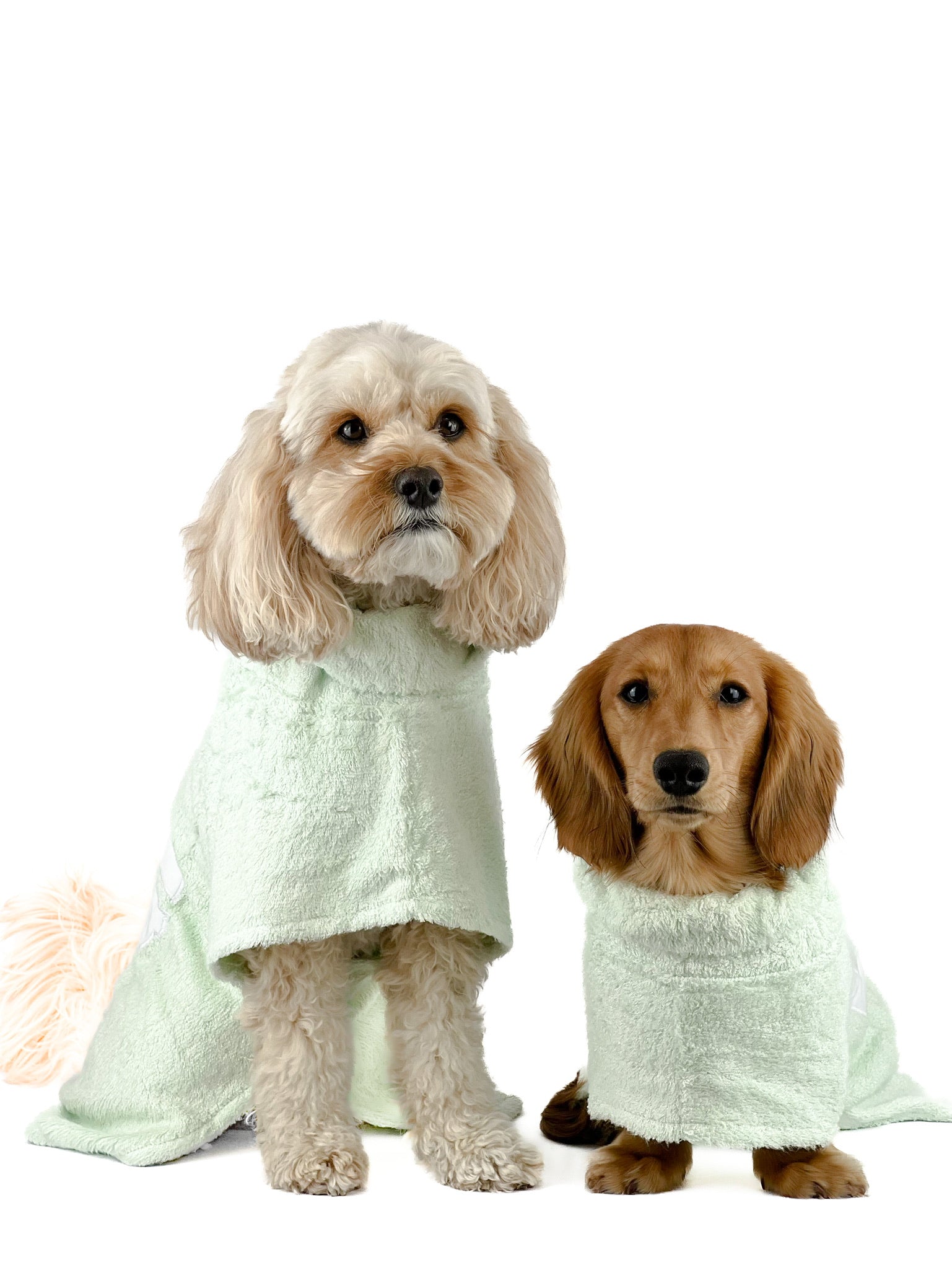 DOG Poncho Towel - Mint