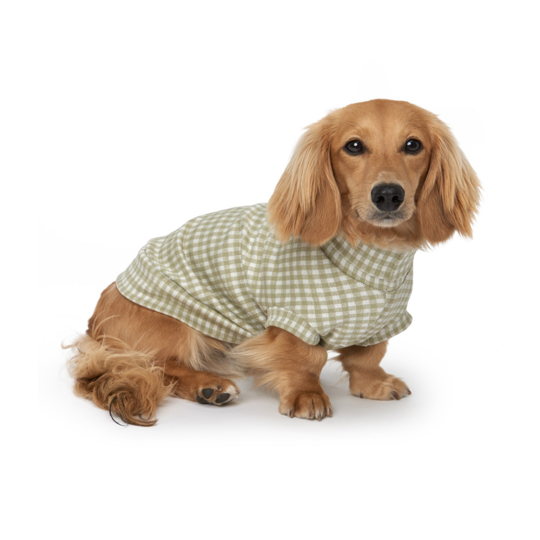 The Vaucluse Sweater - Dachshund (2XS ONLY LEFT)
