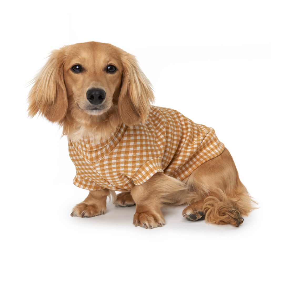 The Manly Sweater - Dachshund