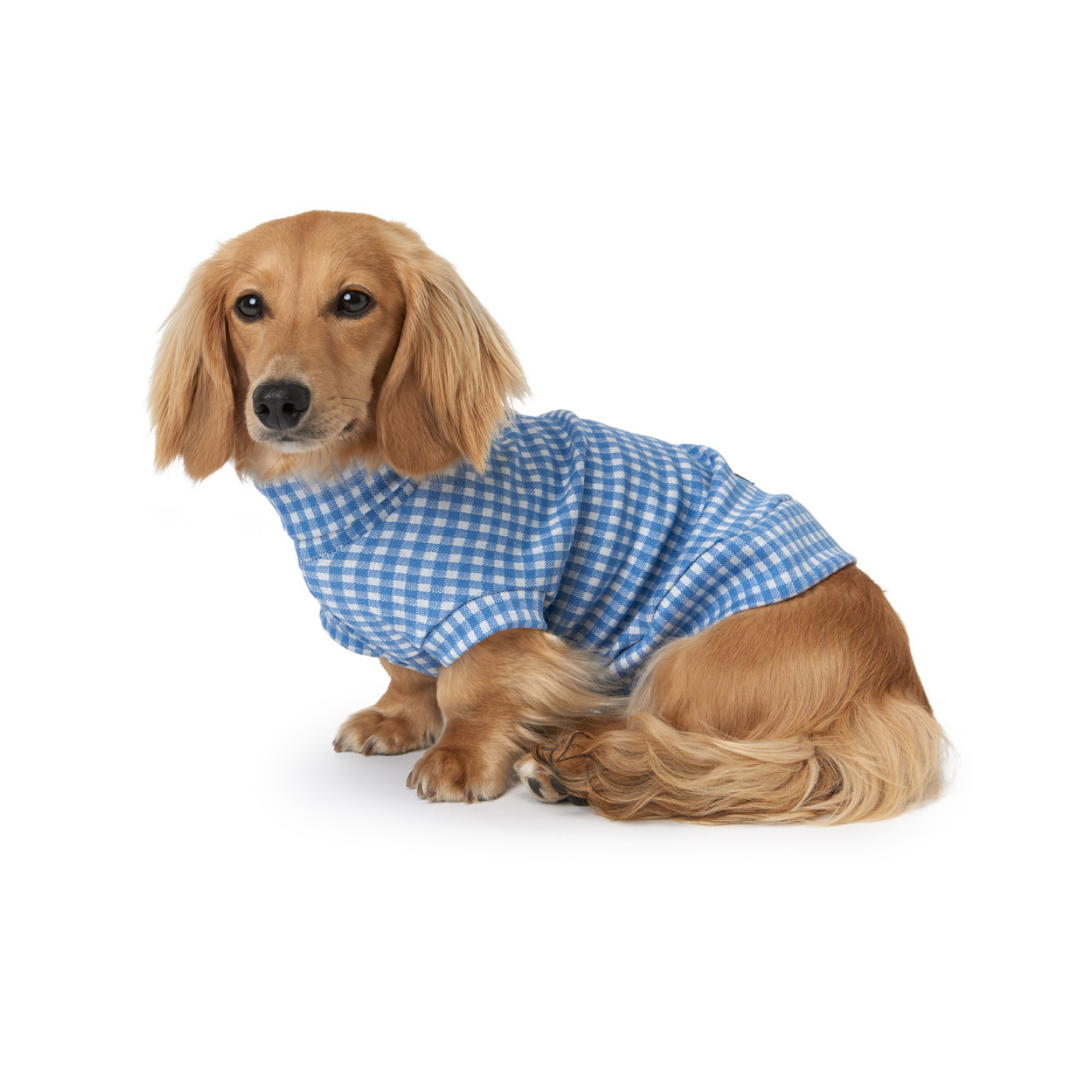 The Potts Point Sweater - Dachshund