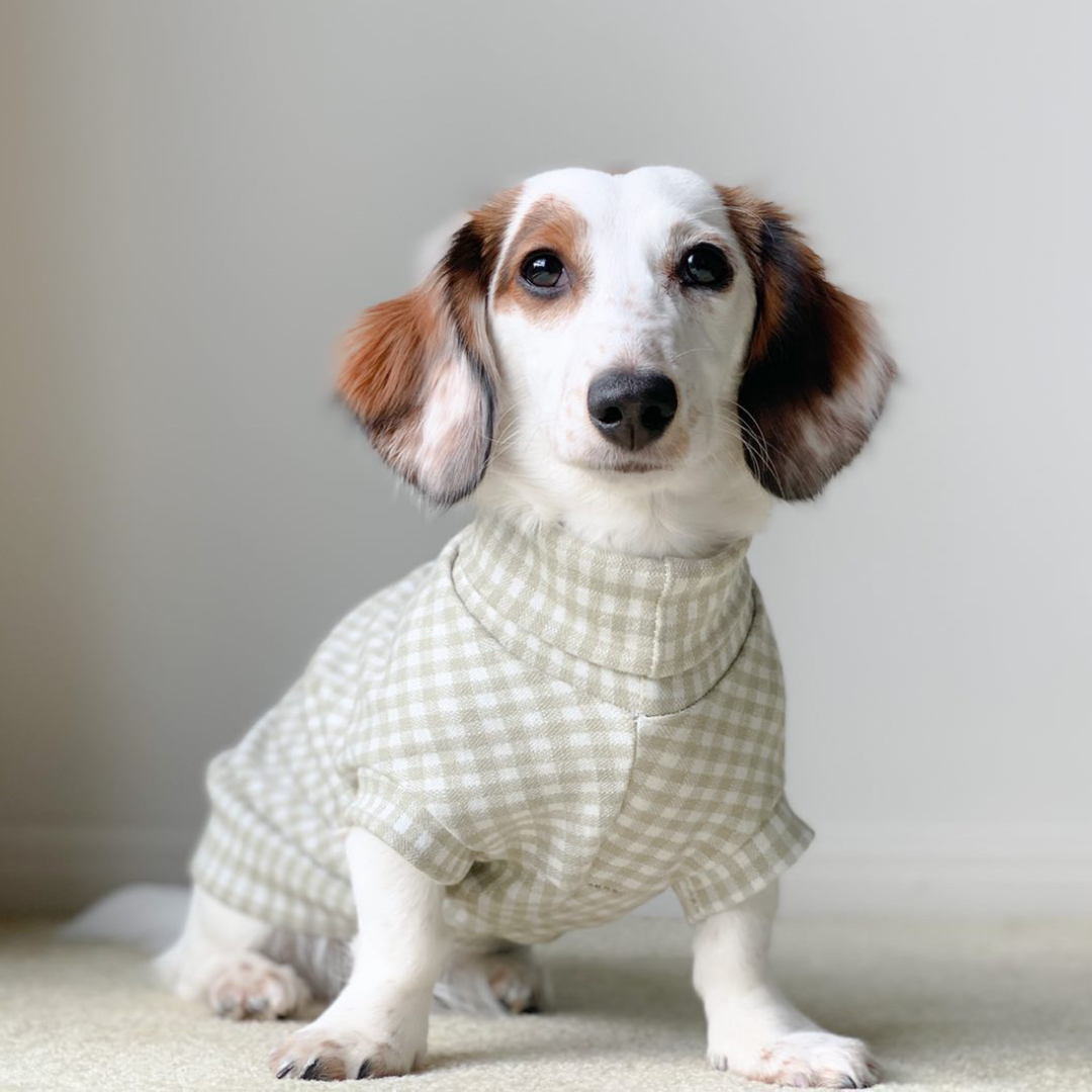 The Vaucluse Sweater - Dachshund (2XS ONLY LEFT)