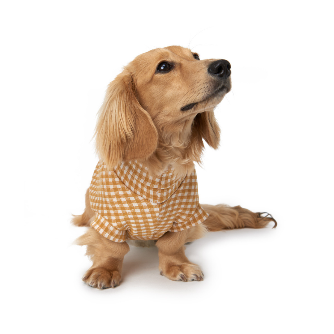 The Manly Sweater - Dachshund
