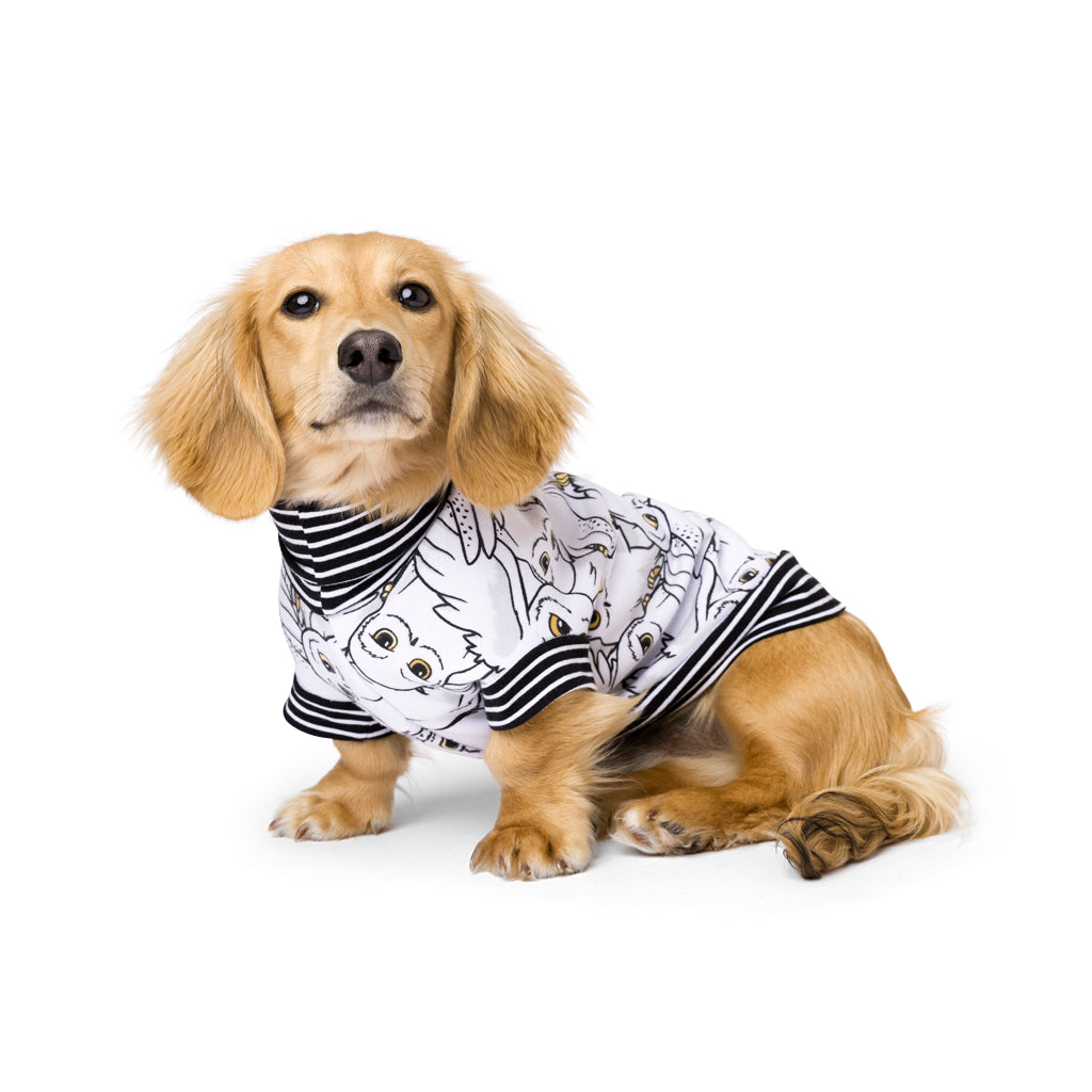 The Hedwig Sweater (Harry Potter)- Dachshund