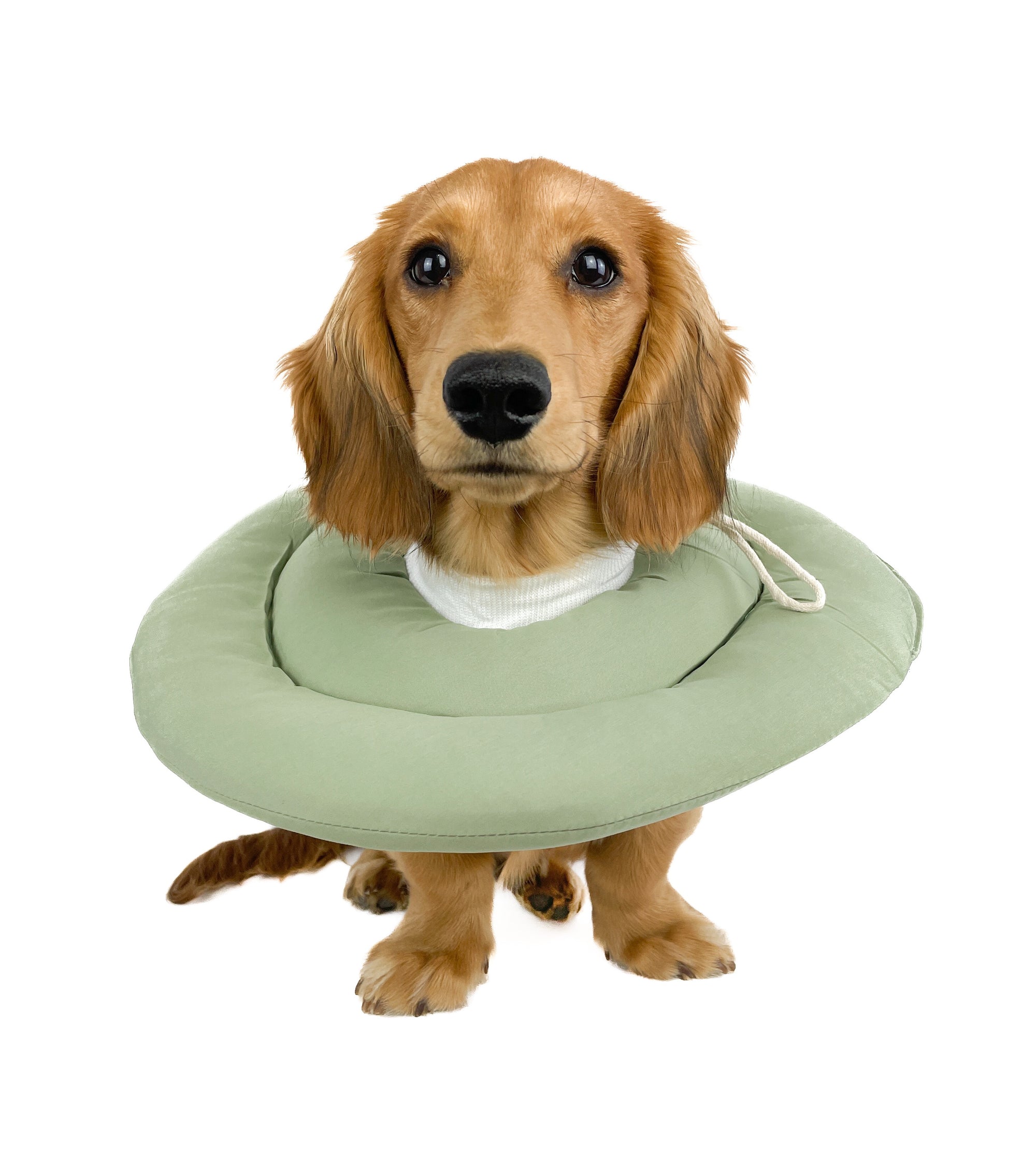 Recovery / Surgery Collar Cushion - Sage
