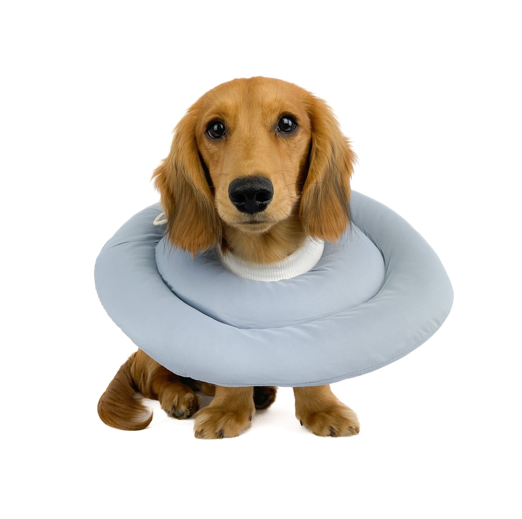 Recovery / Surgery Collar Cushion - Blue